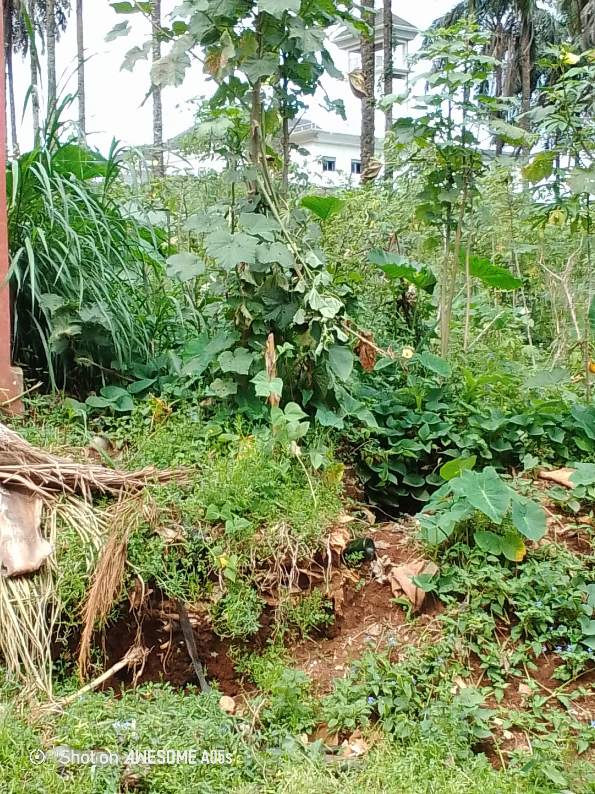 Affordable land at mile3 