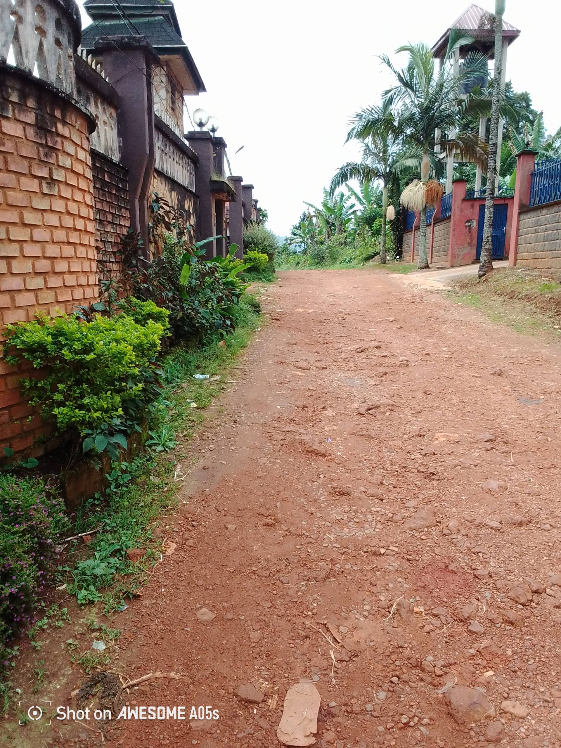 Affordable land at mile3  — photo 3