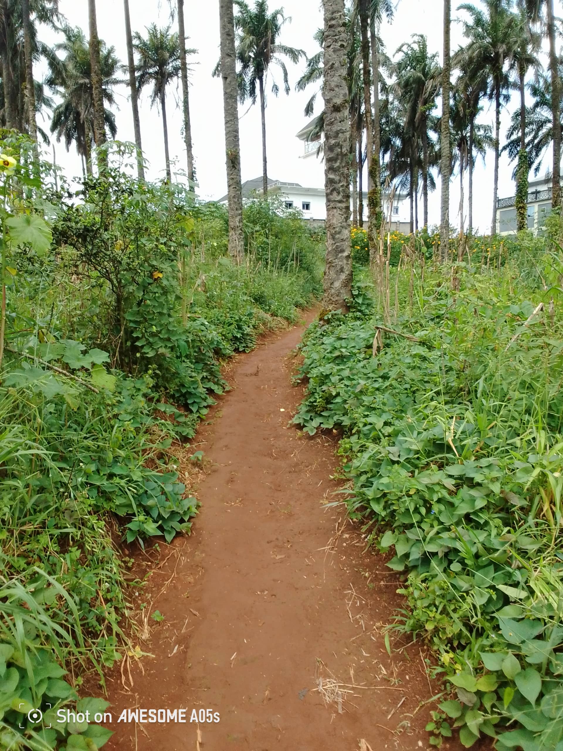 Affordable land at mile3  — photo 5