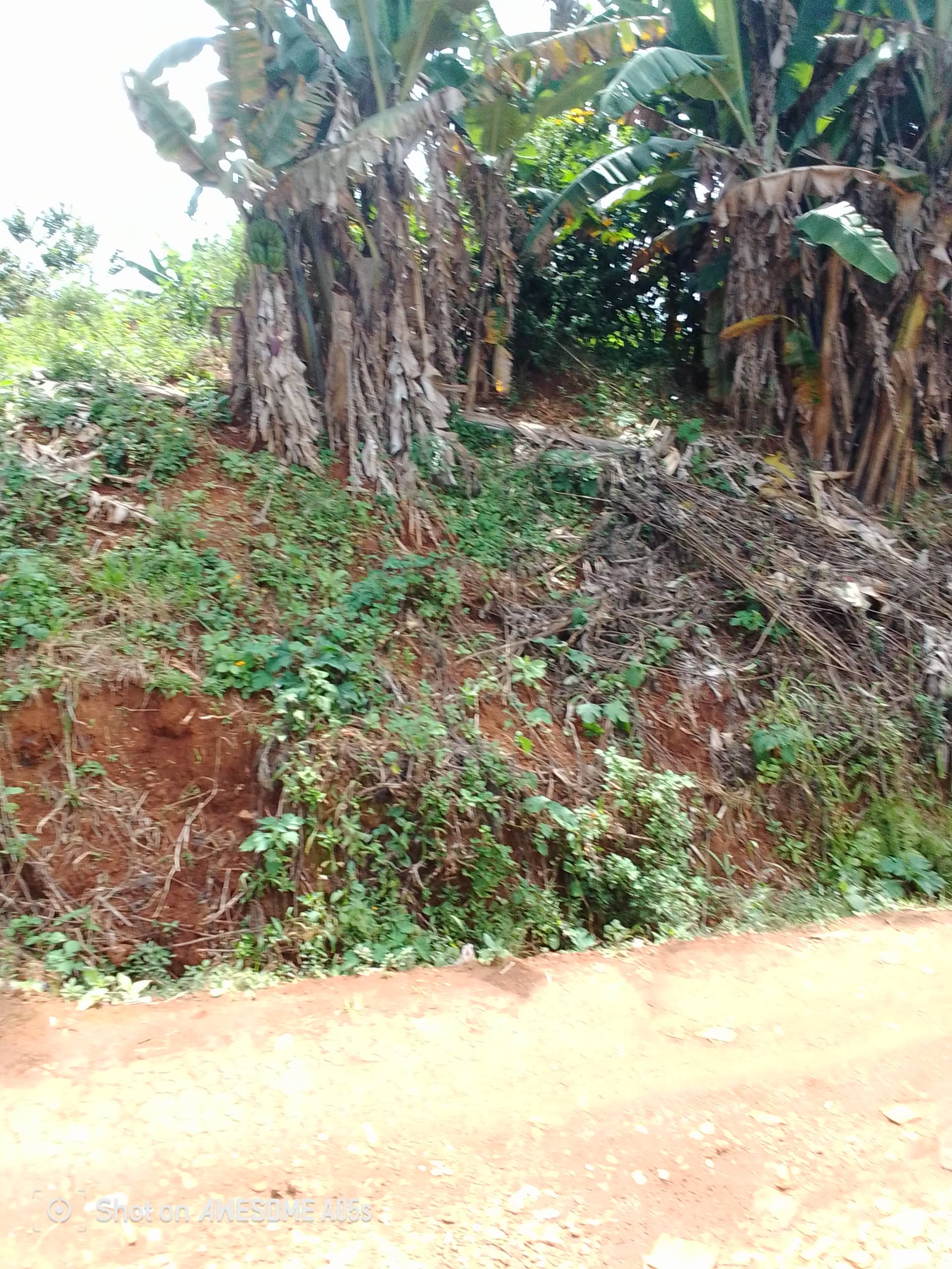 Affordable land for sale at up station bamenda  — photo 5