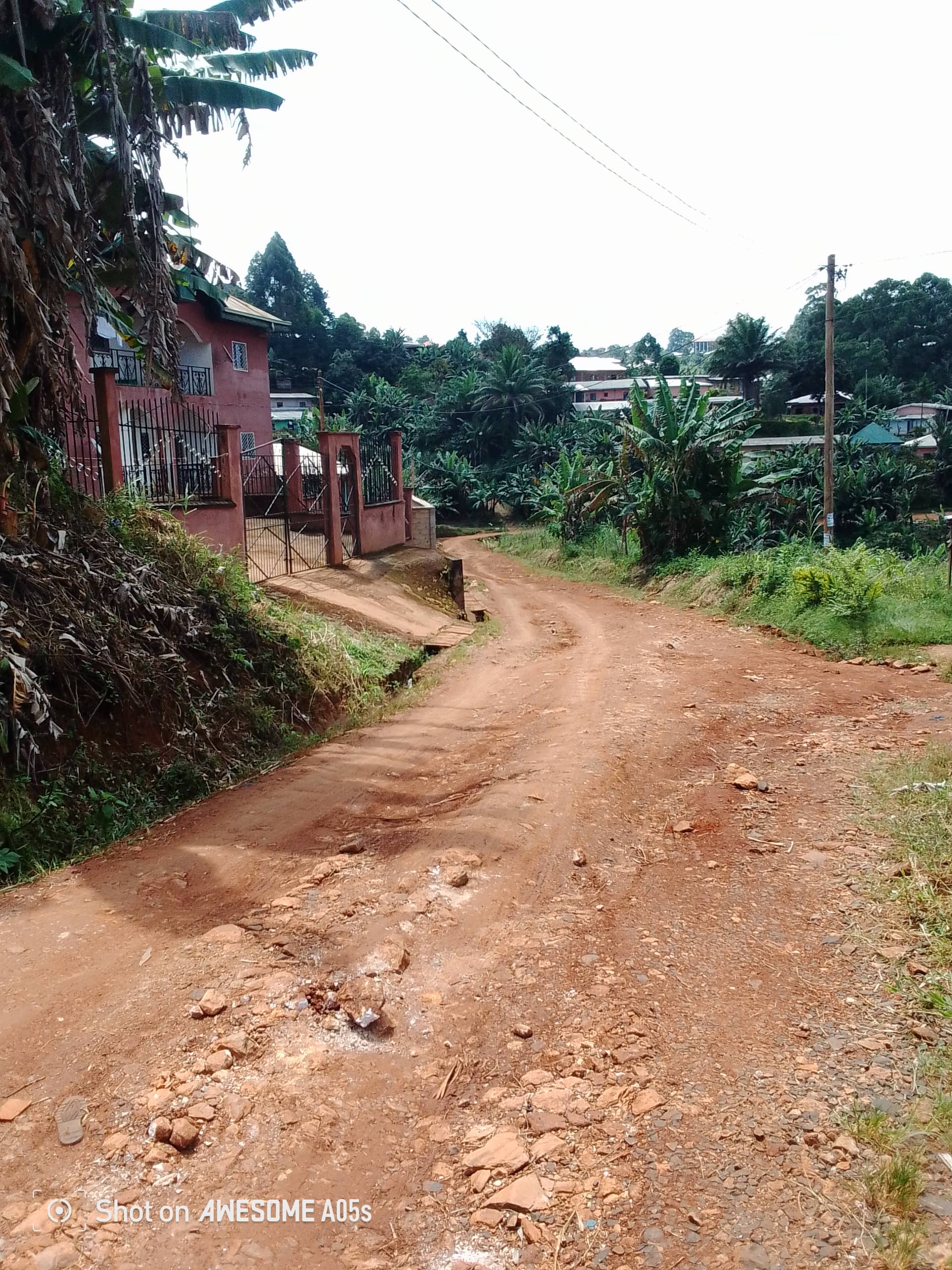 Affordable land for sale at up station bamenda  — photo 6