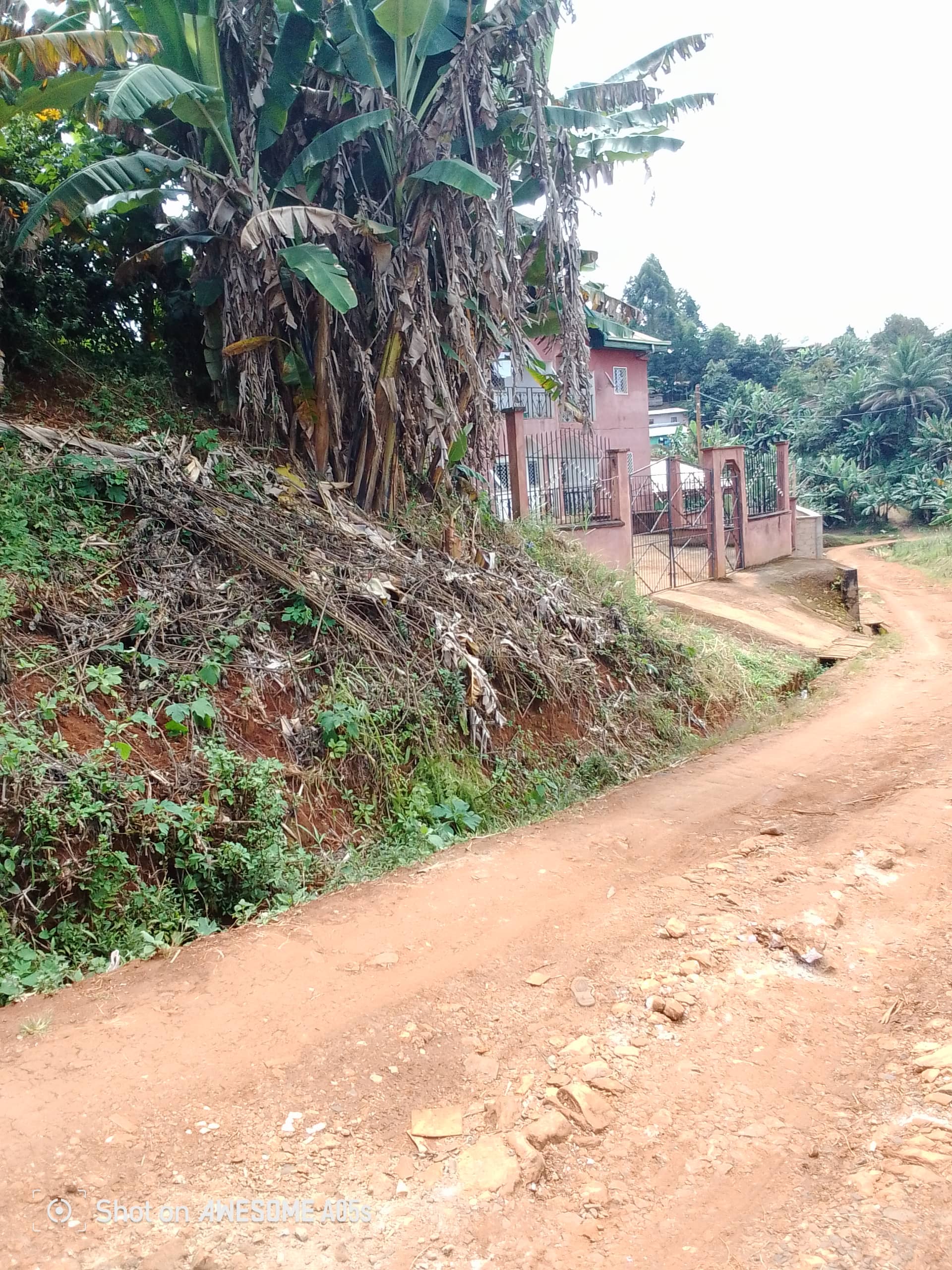 Affordable land for sale at up station bamenda  — photo 7