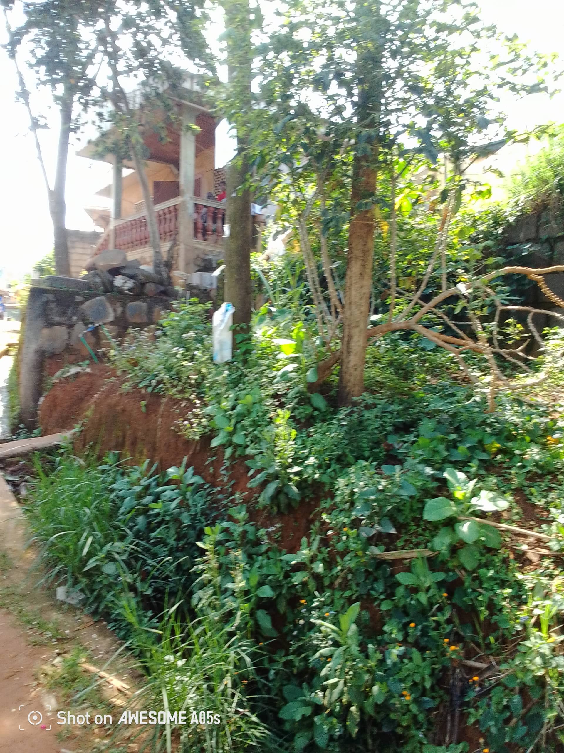 Affordable land for sale at mile2 nkwen bamenda  — photo 3