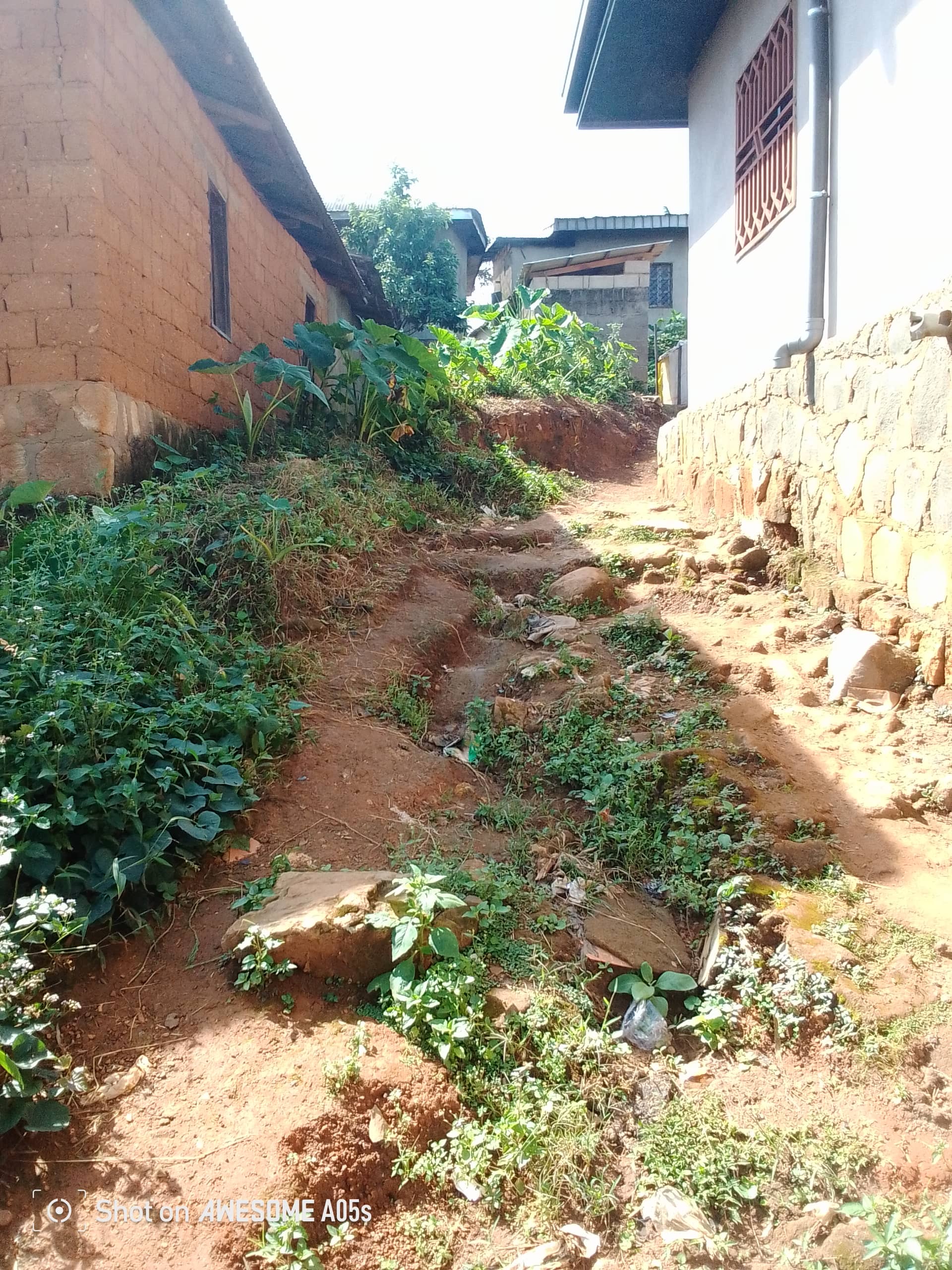Affordable land for sale at mile2 nkwen bamenda  — photo 5
