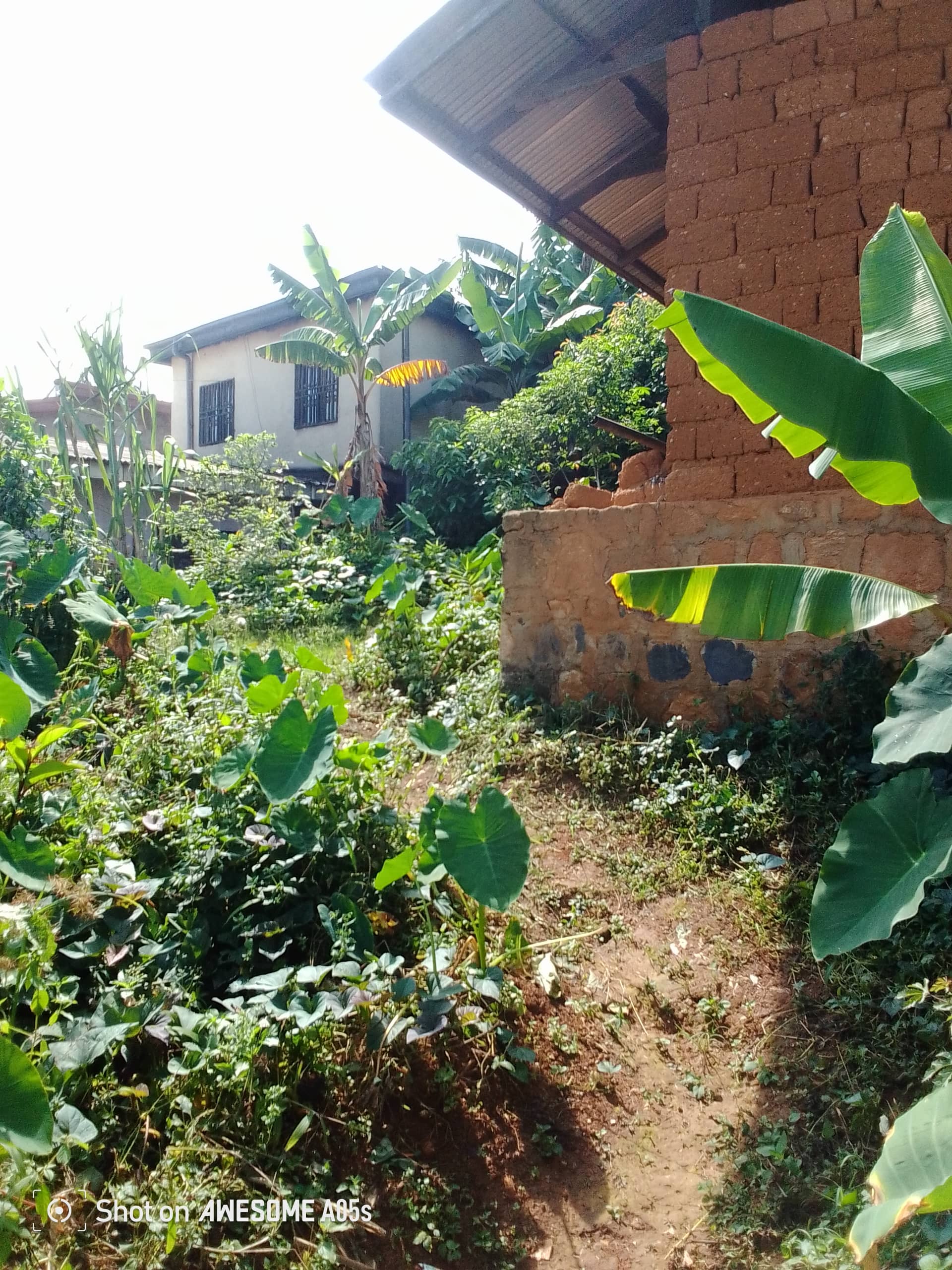 Affordable land for sale at mile2 nkwen bamenda  — photo 7