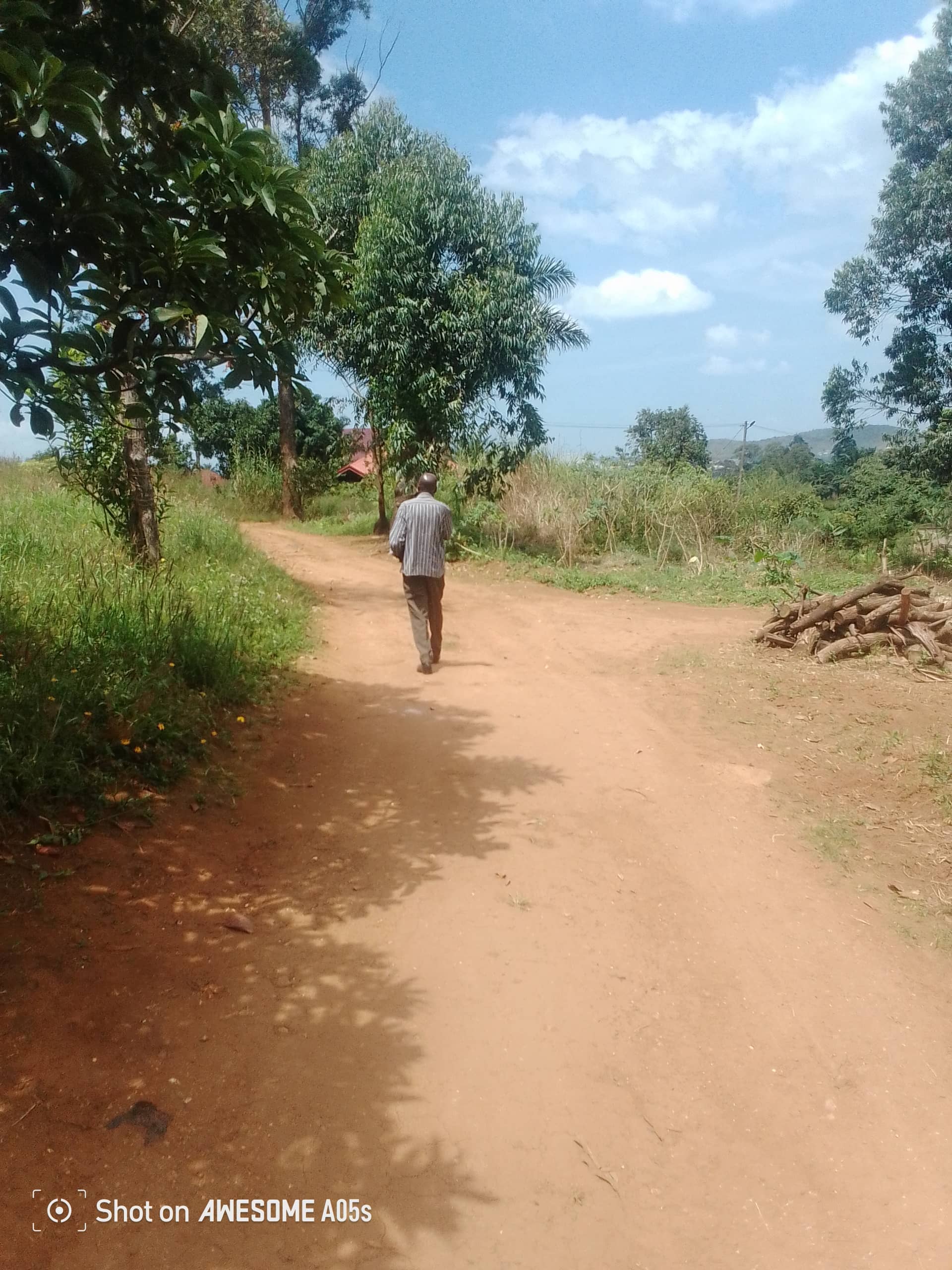 Cheap land at mile 4 