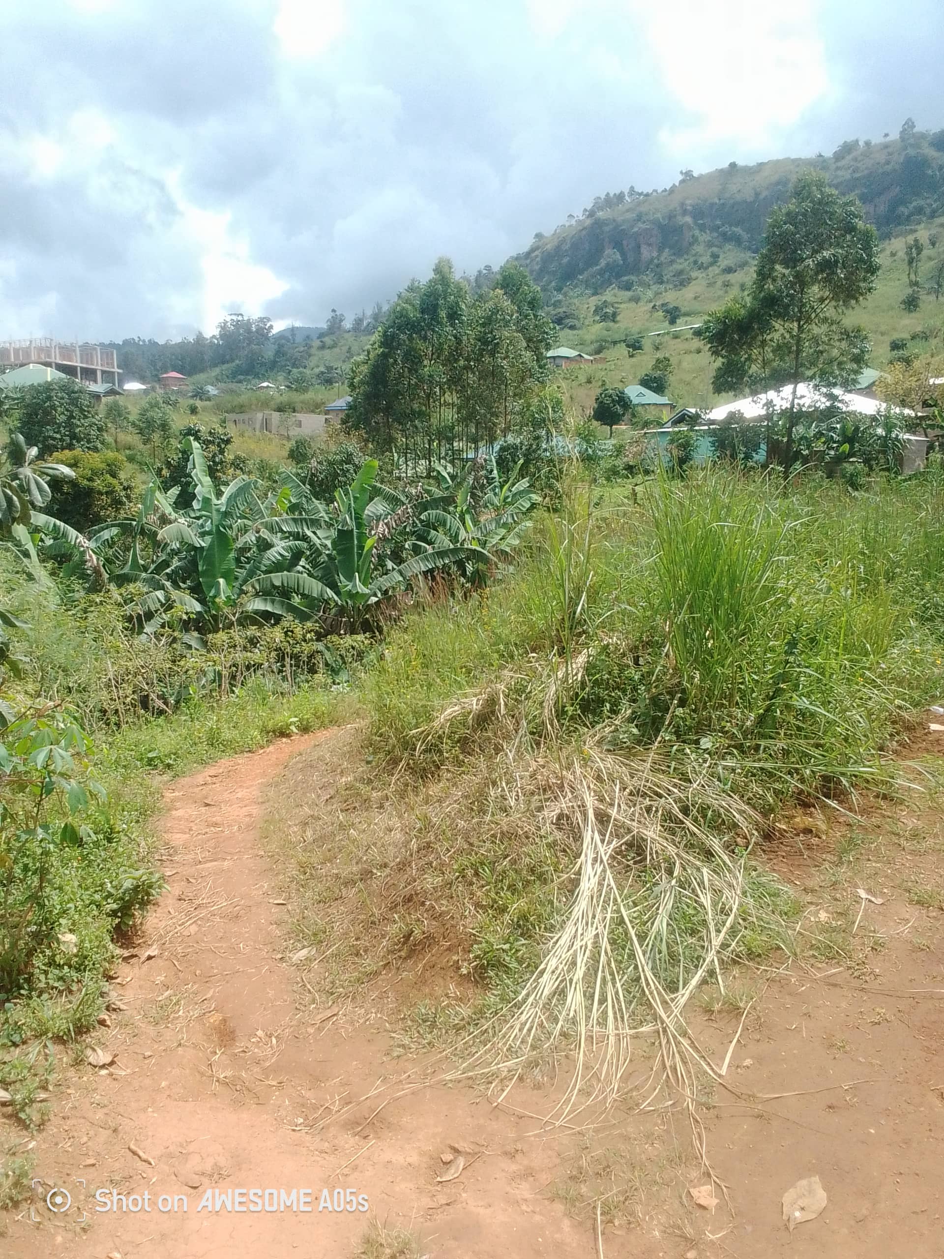 Cheap land at mile 4  — photo 2
