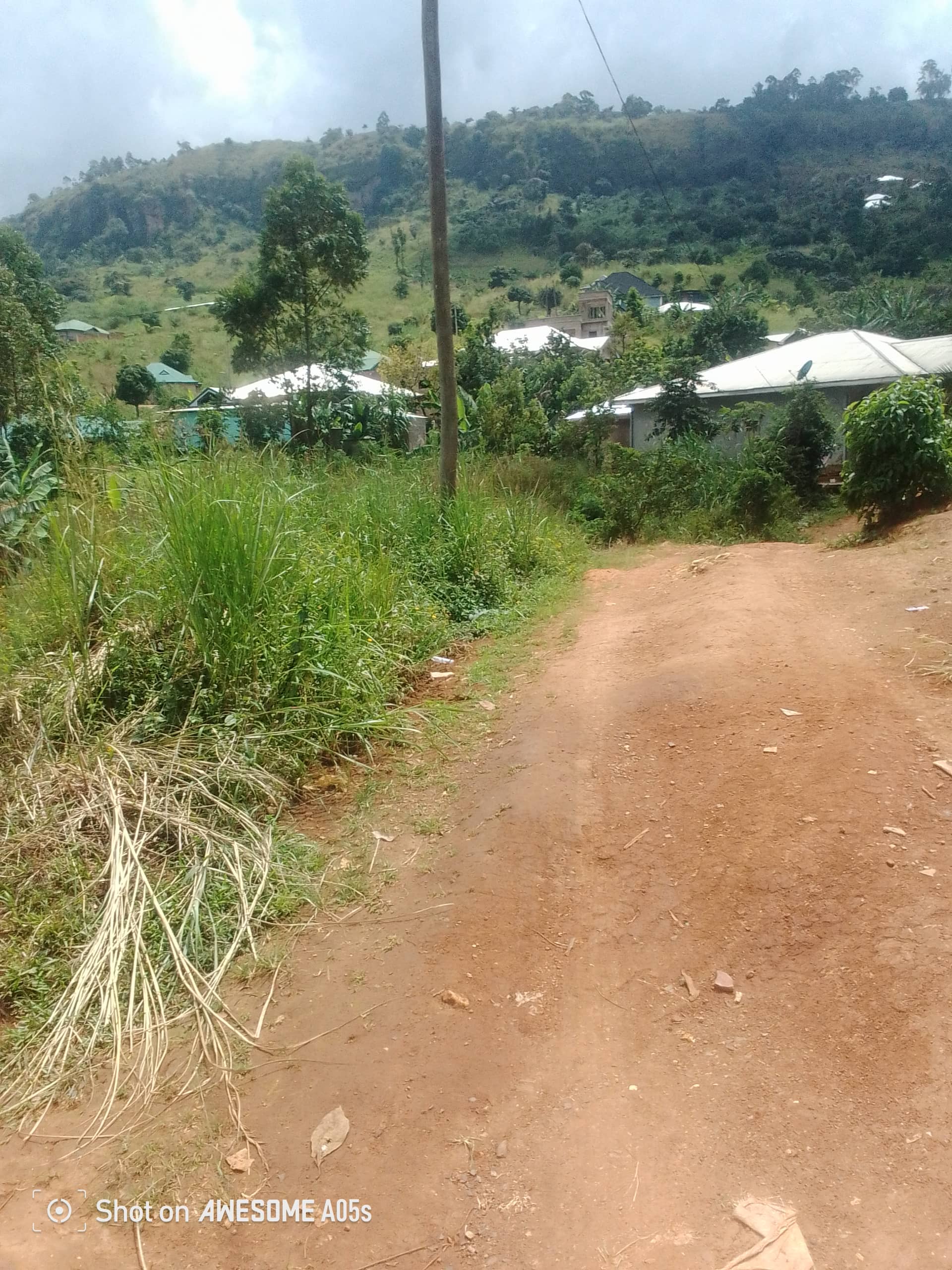 Cheap land at mile 4  — photo 3