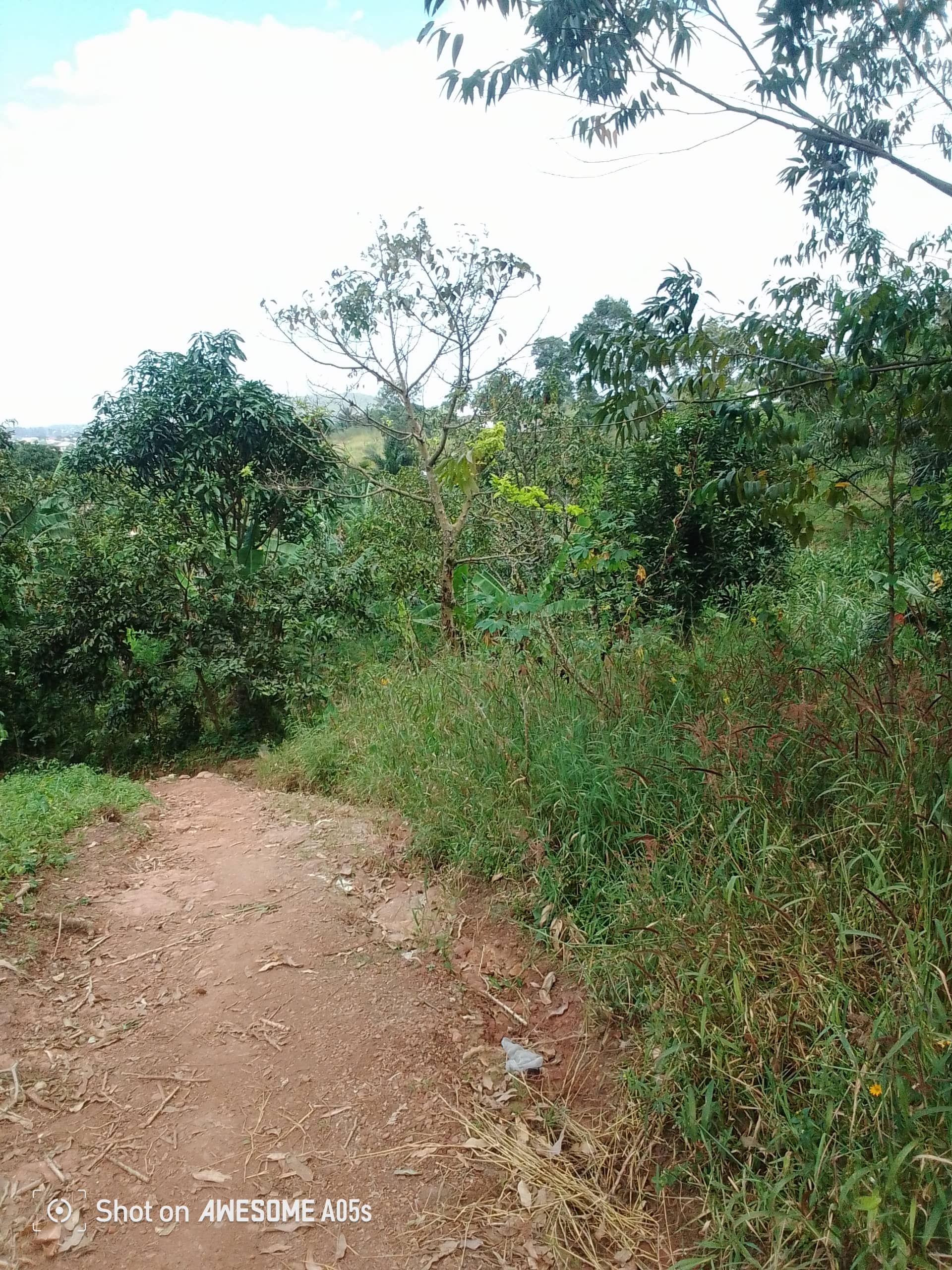 Cheap land at mile 4  — photo 7