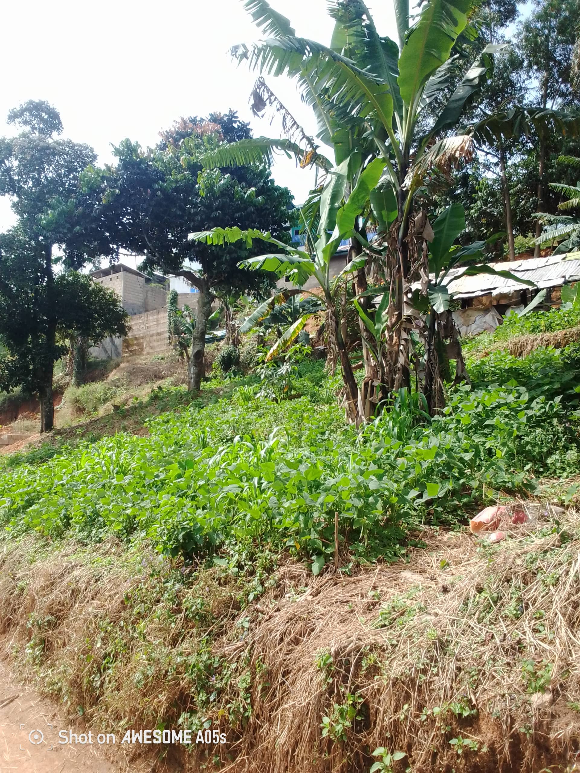 Cheap land at up station  — photo 7