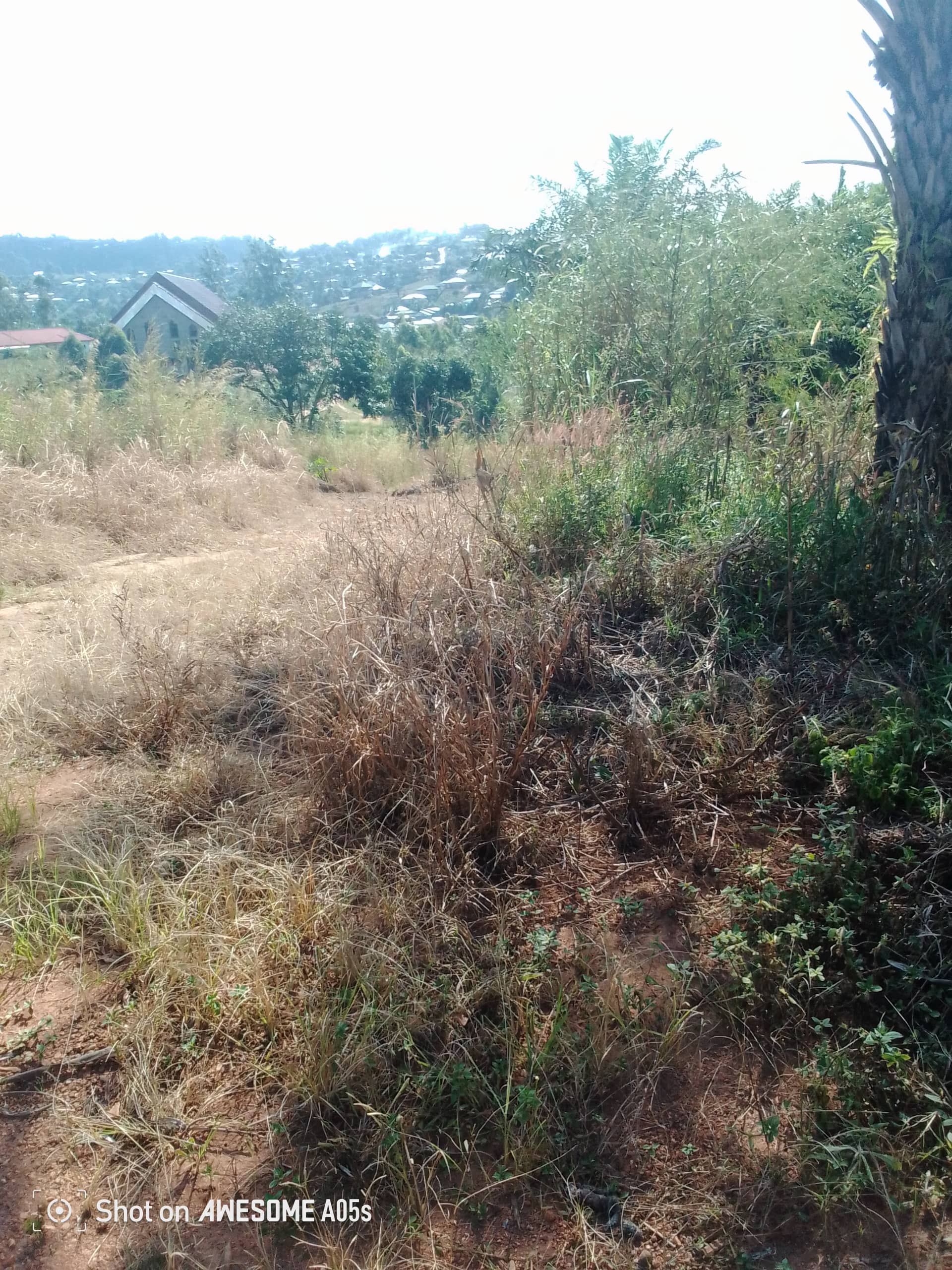 Cheap land at mile4 nkwen bamenda  — photo 4
