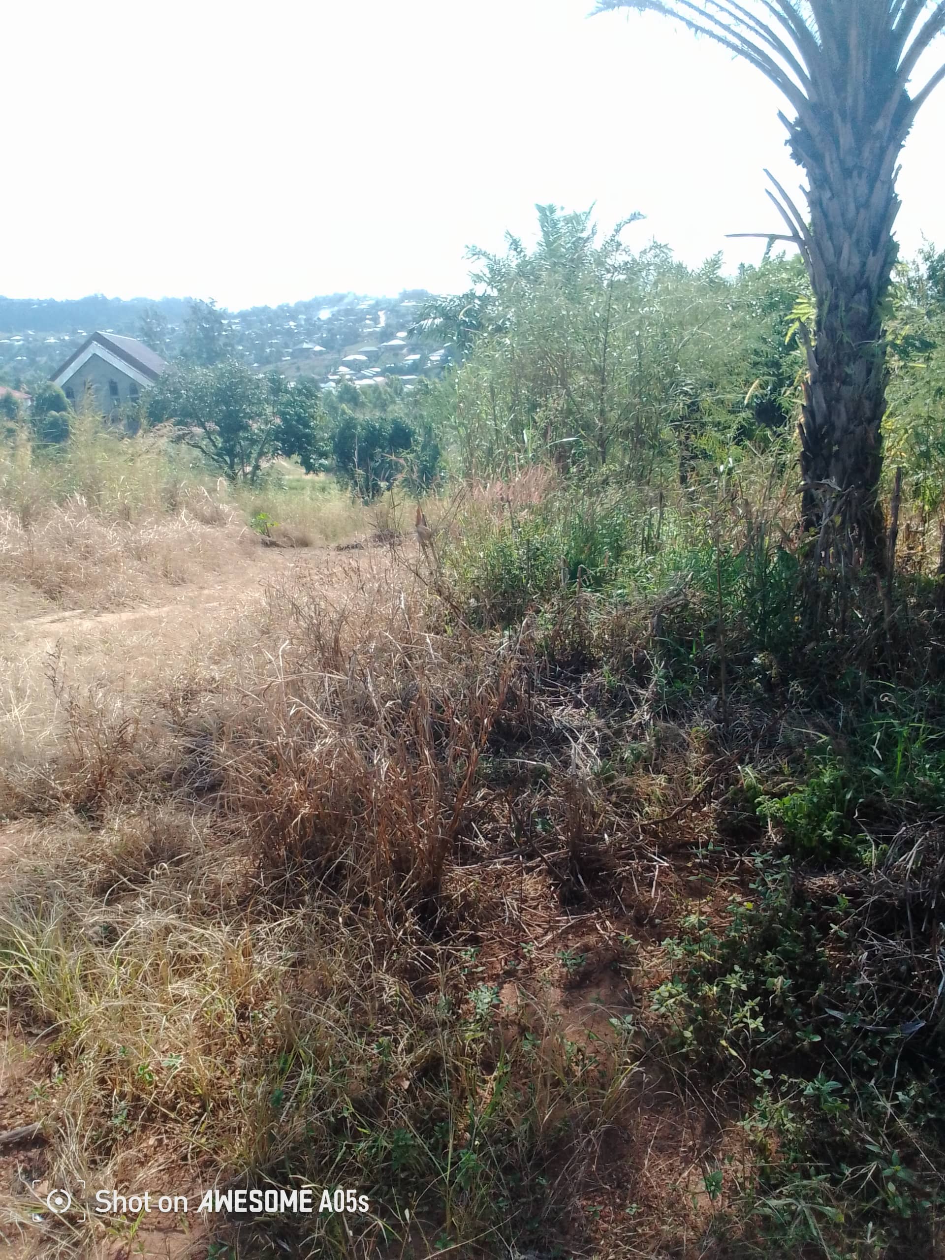 Cheap land at mile4 nkwen bamenda  — photo 5