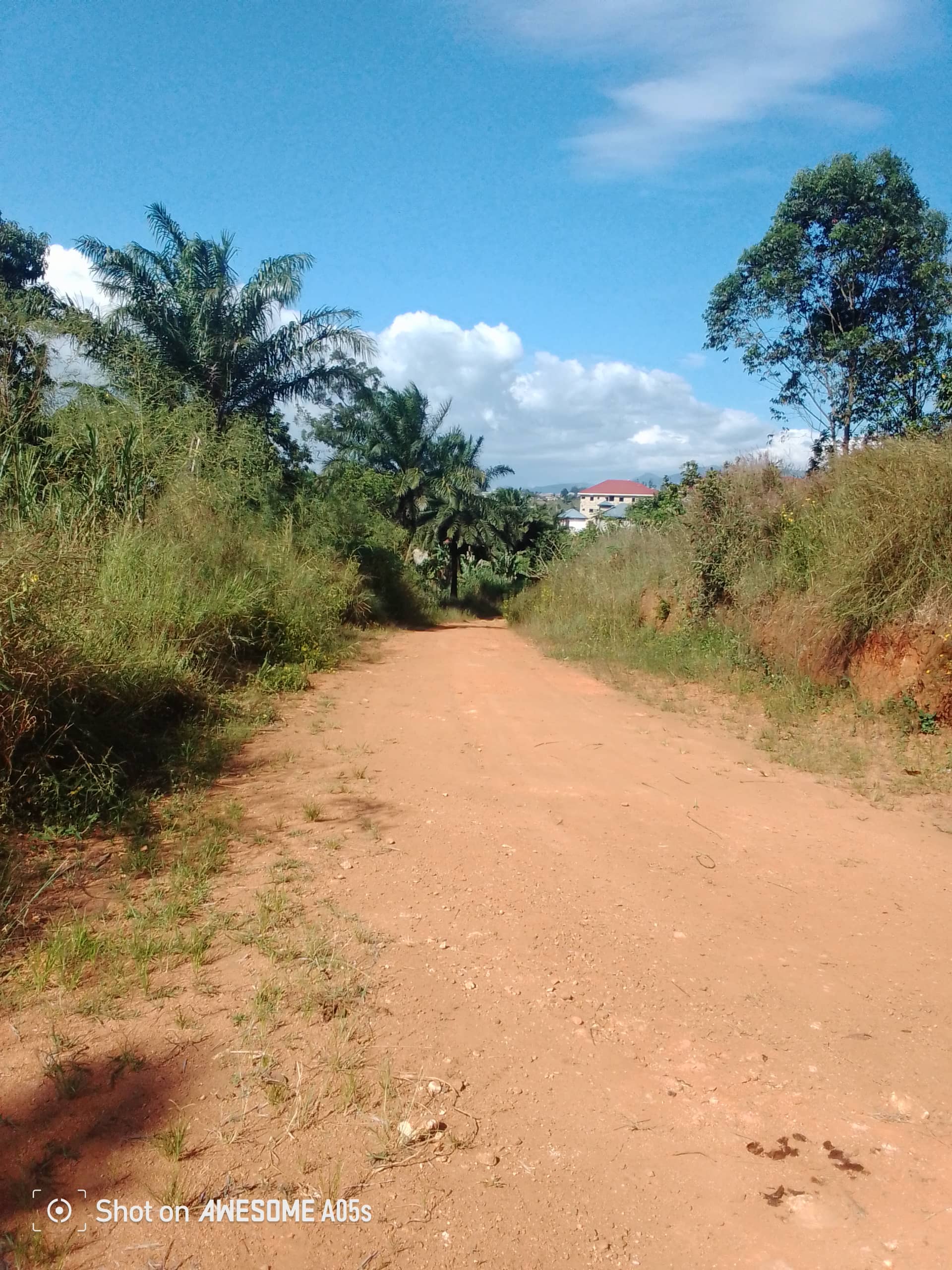 Cheap land at mile4 nkwen bamenda  — photo 6