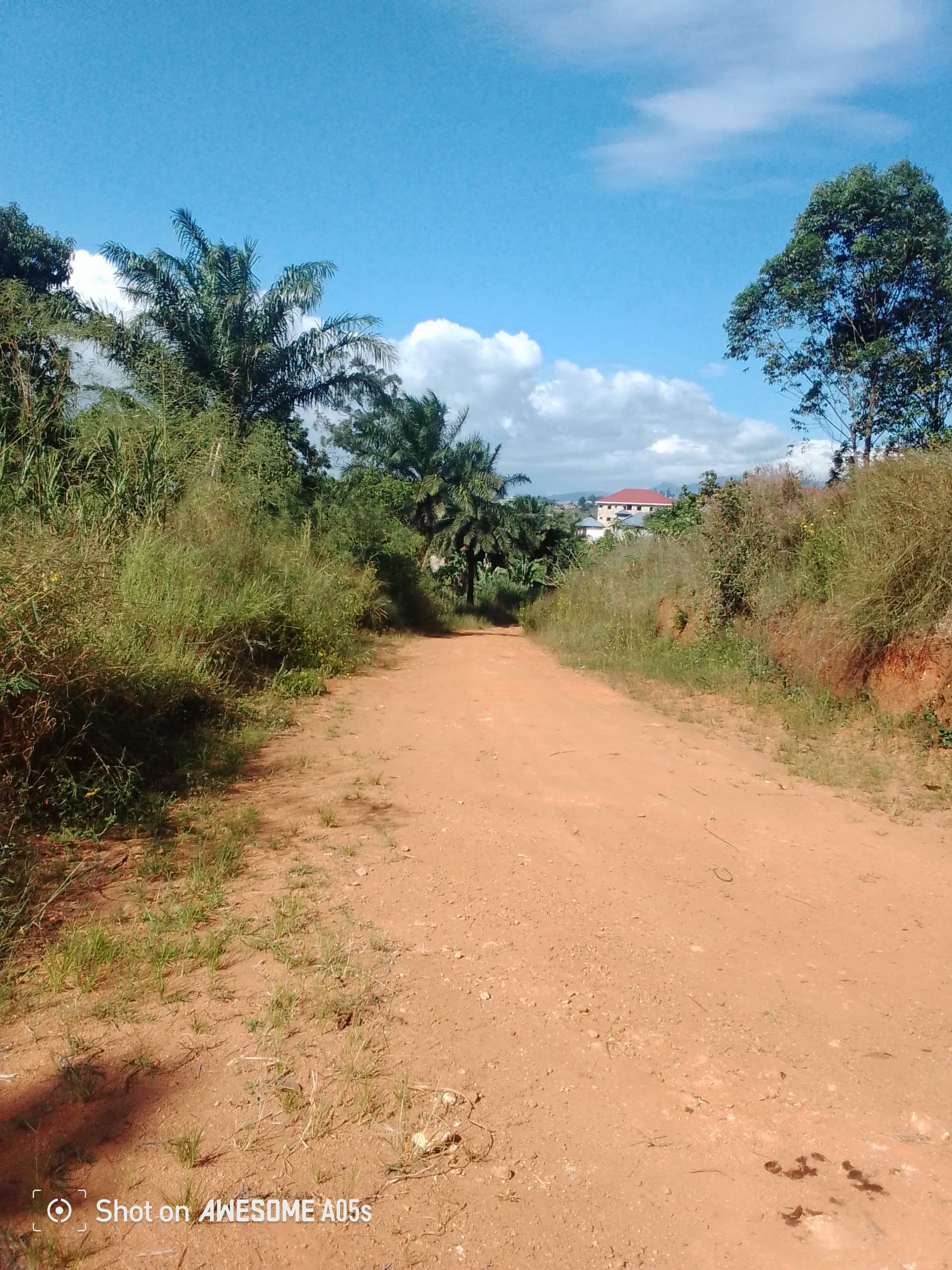Cheap land at mile4 nkwen bamenda  — photo 7