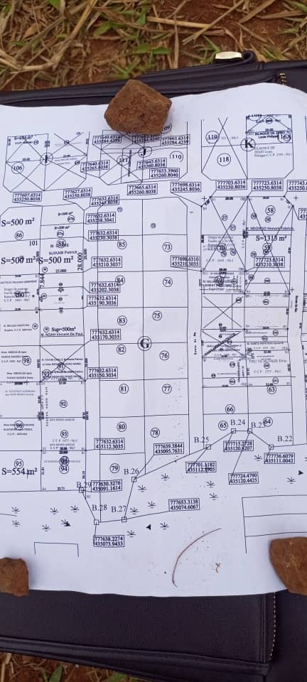 Plot Area,500 meters square  — photo 5