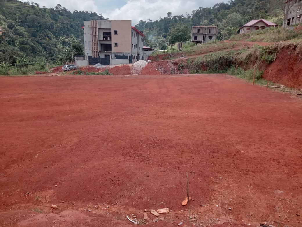 Plot Area,500 meters square  — photo 7