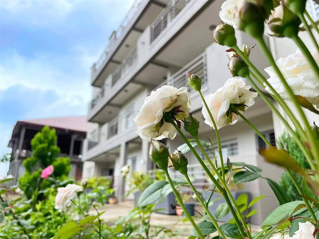 AKHARD HAUS GUEST HOUSE  — photo 2