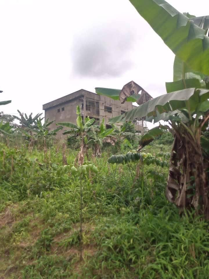 LAND FOR SALE  — photo 2