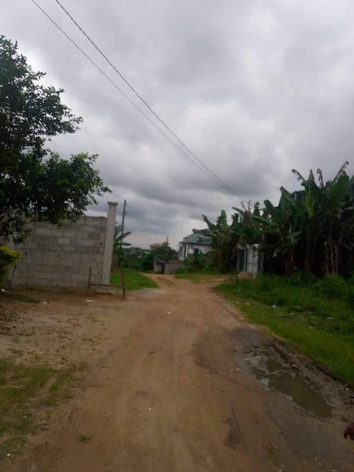 LAND FOR SALE  — photo 7