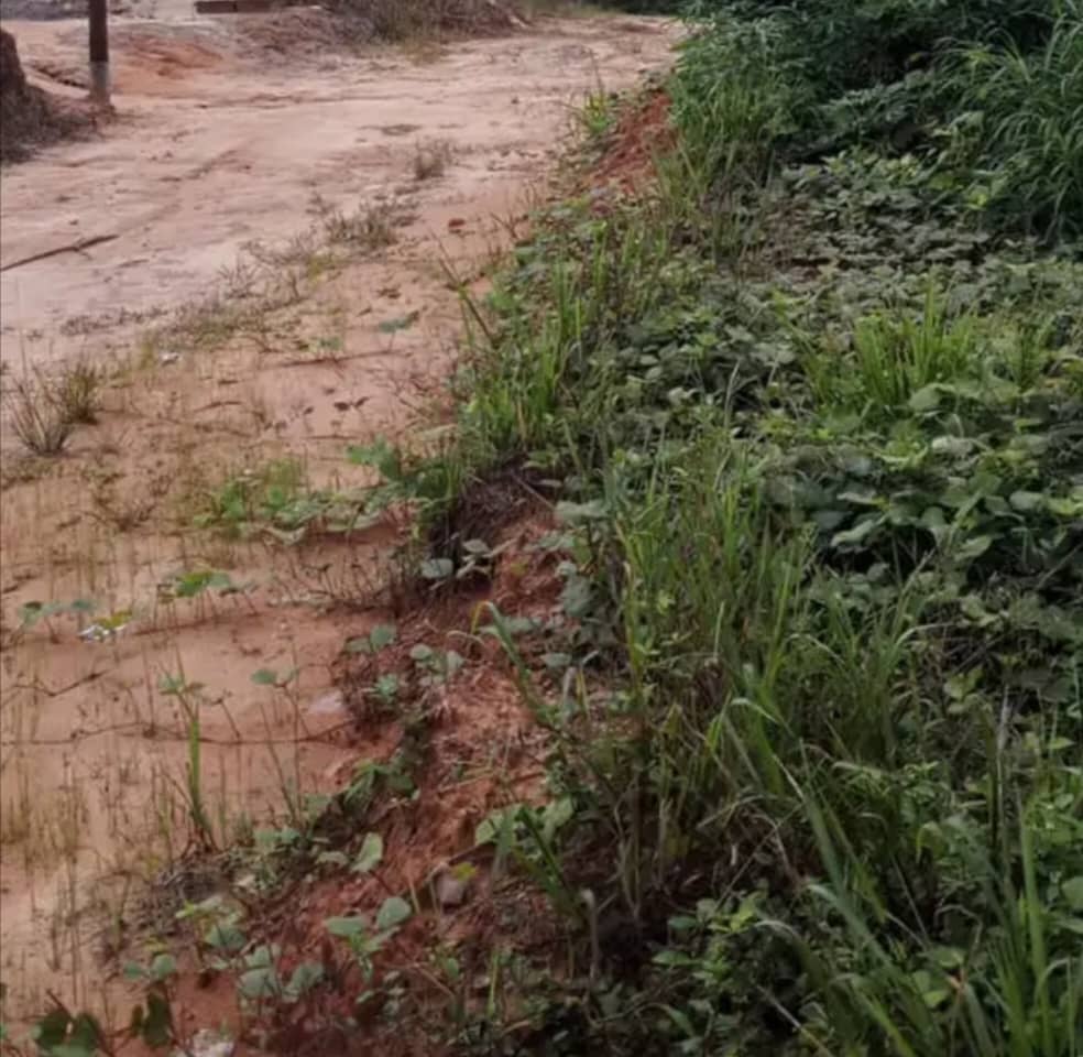 LAND  — photo 2