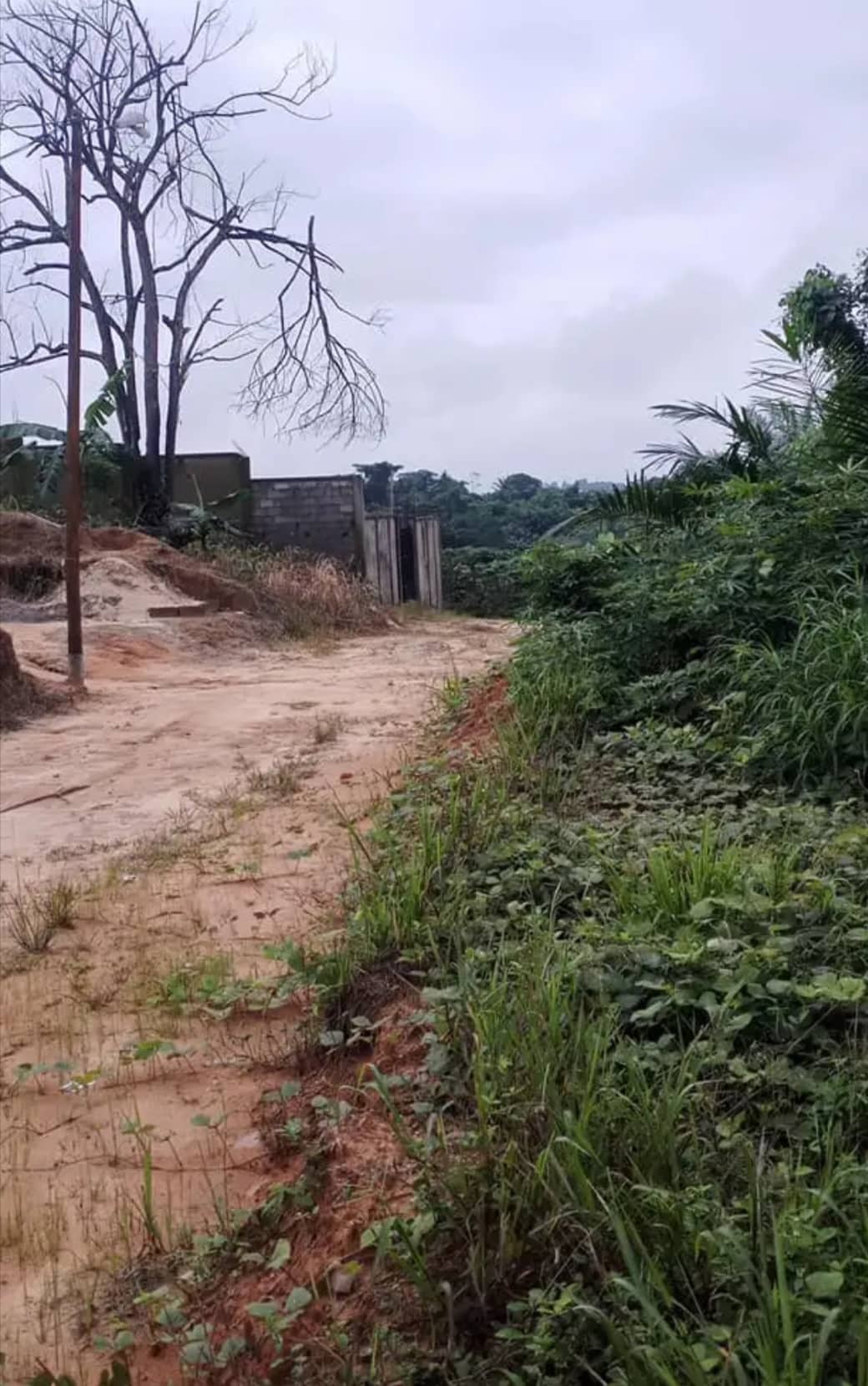LAND  — photo 5