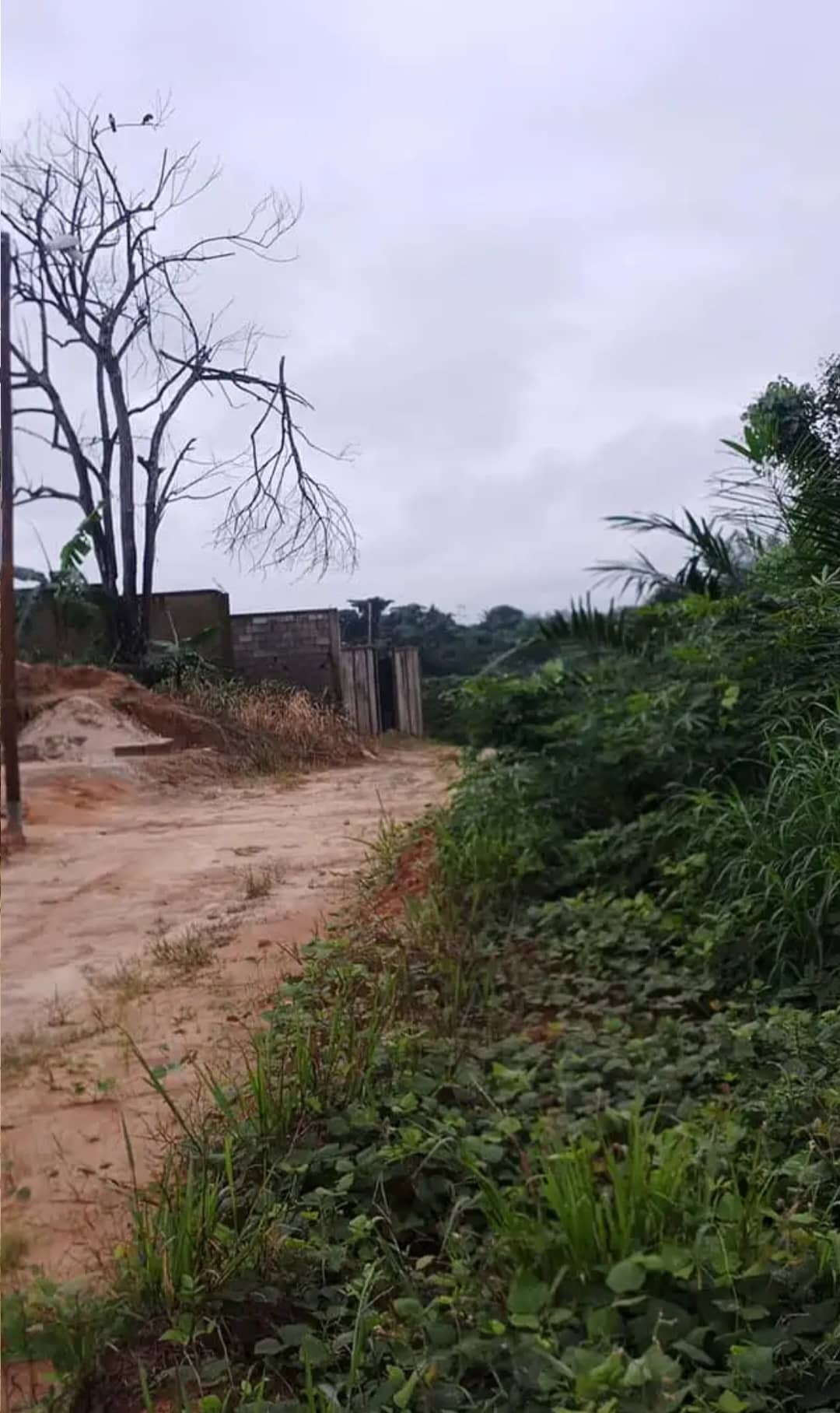 LAND  — photo 6