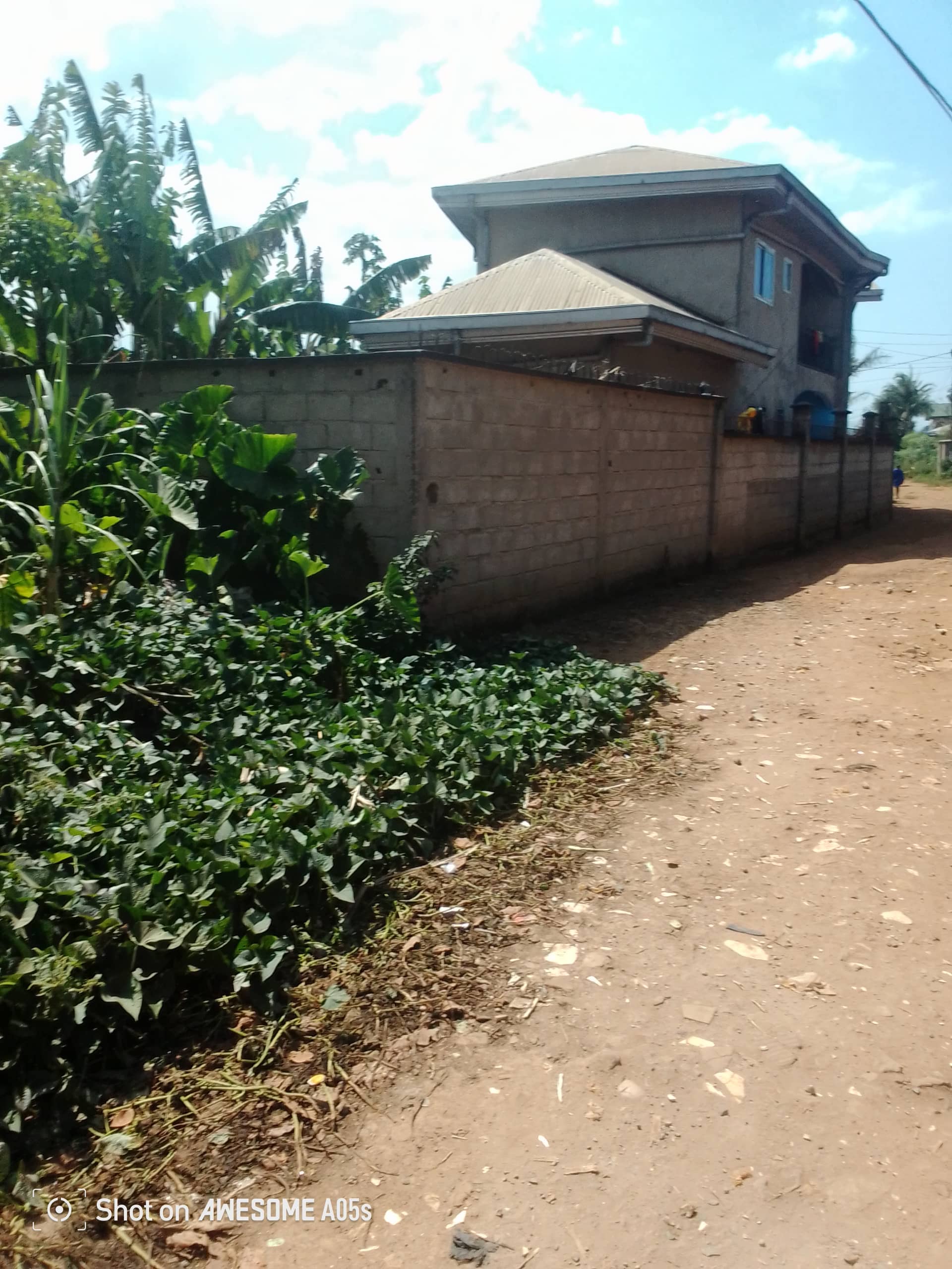 Cheap land at mile3 nkwen  — photo 2