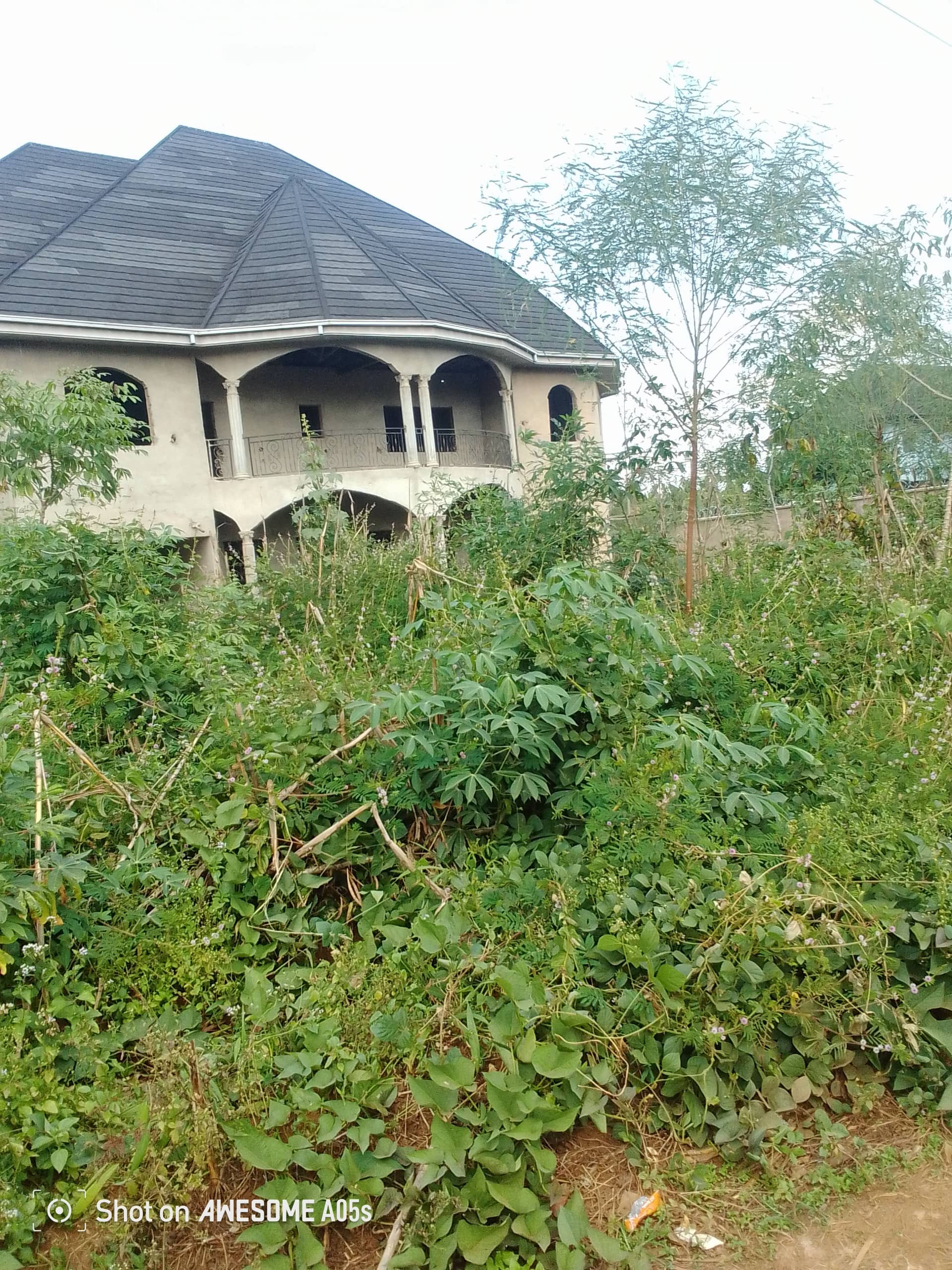 Cheap land at mile3 nkwen  — photo 3