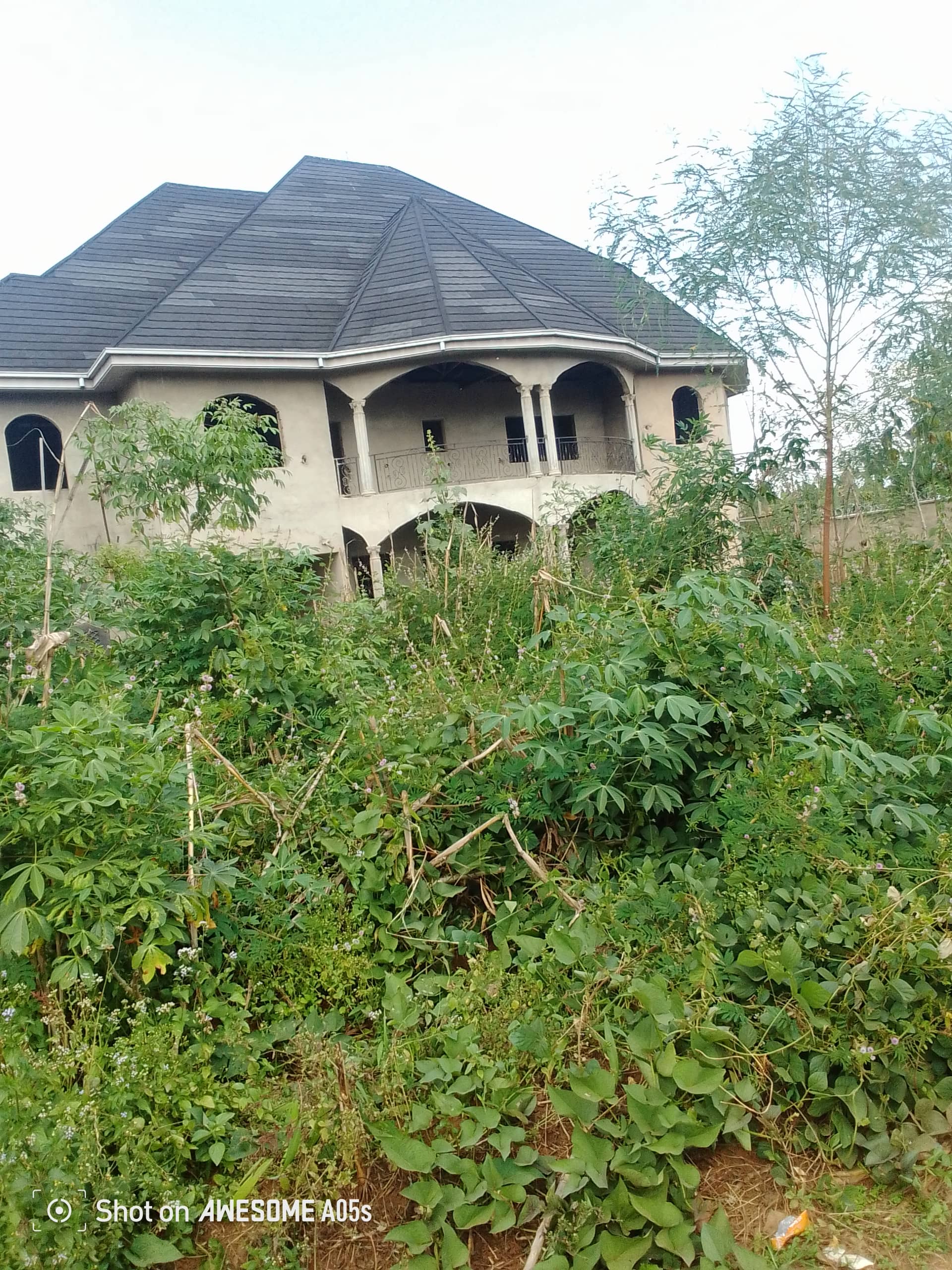 Cheap land at mile3 nkwen  — photo 4