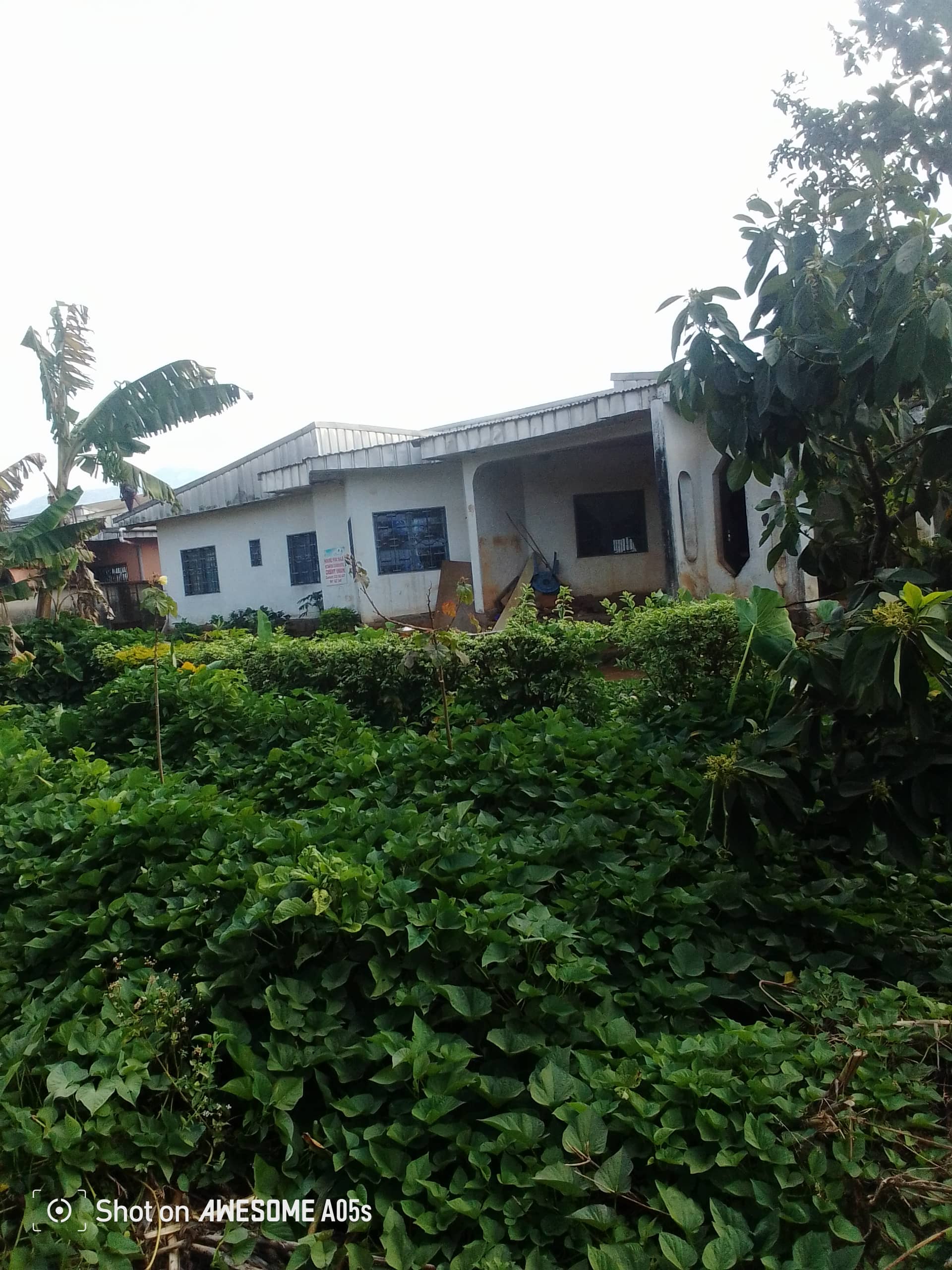 Cheap land at mile3 nkwen  — photo 5