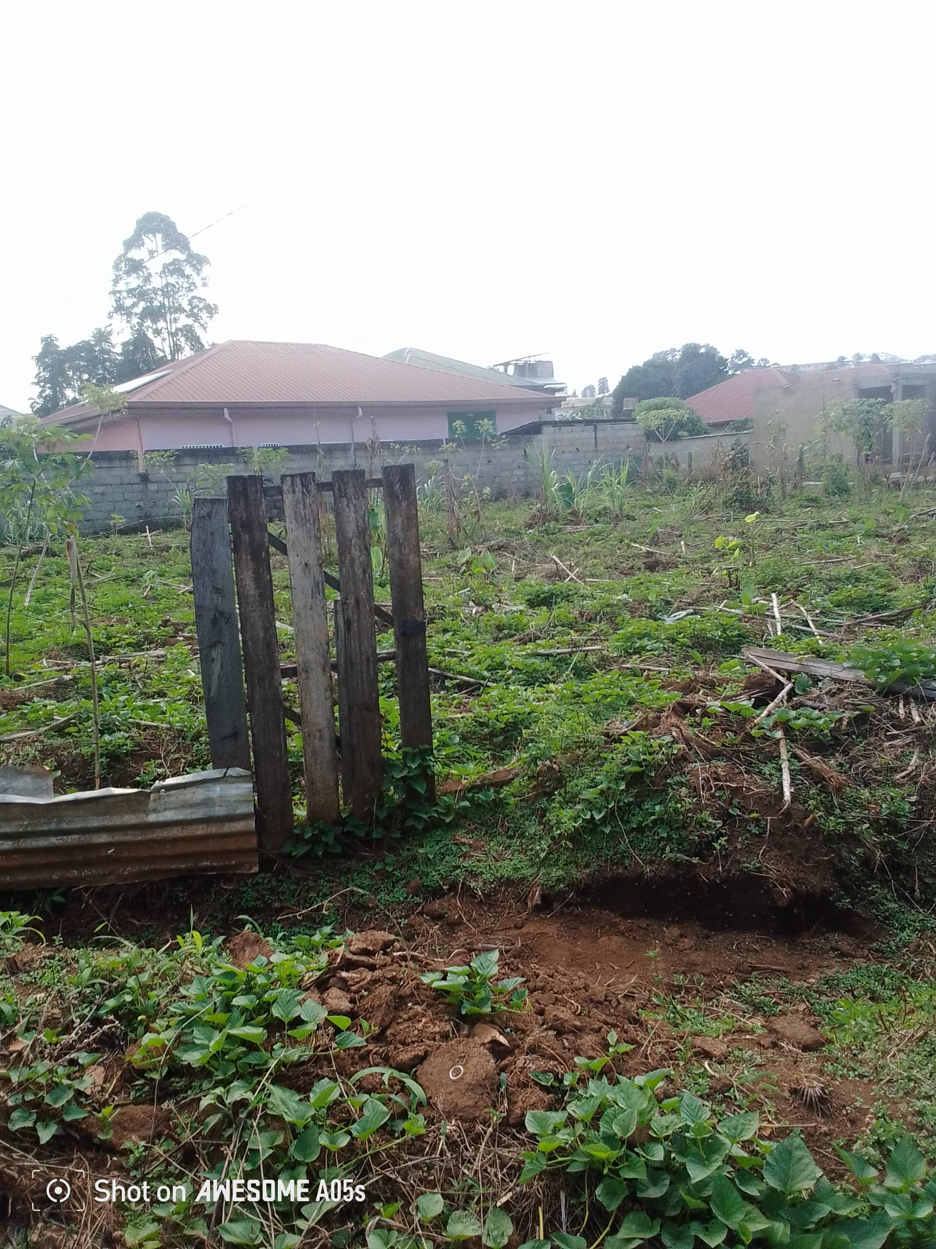 Cheap land at mile3 nkwen  — photo 6