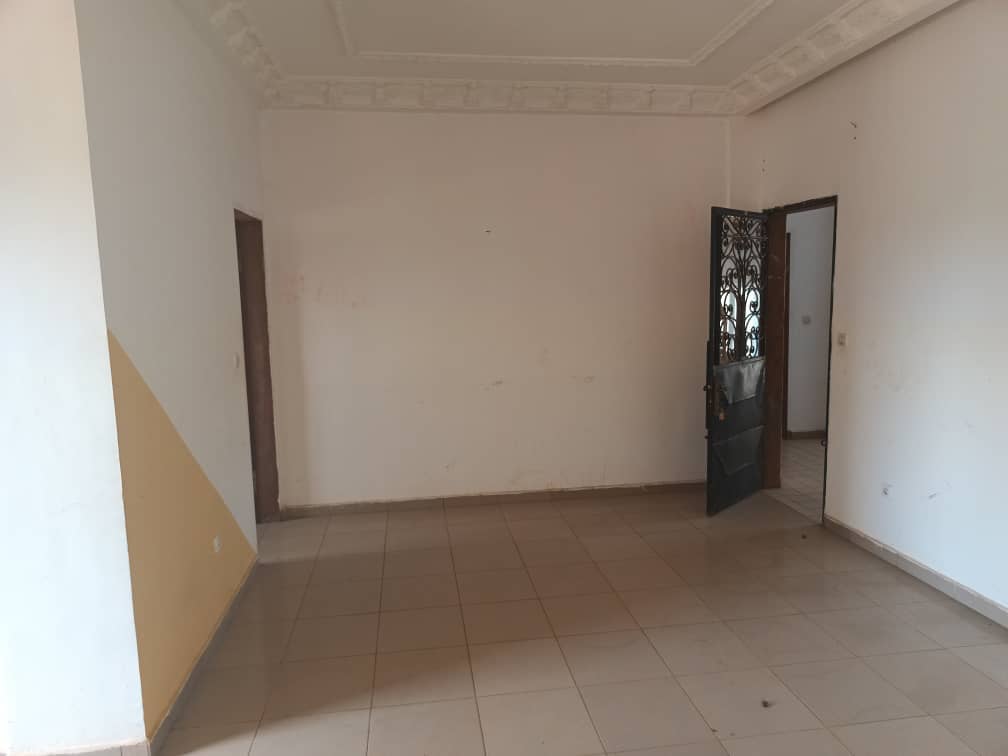 10 Appartments and 10 studios avaliable  — photo 3