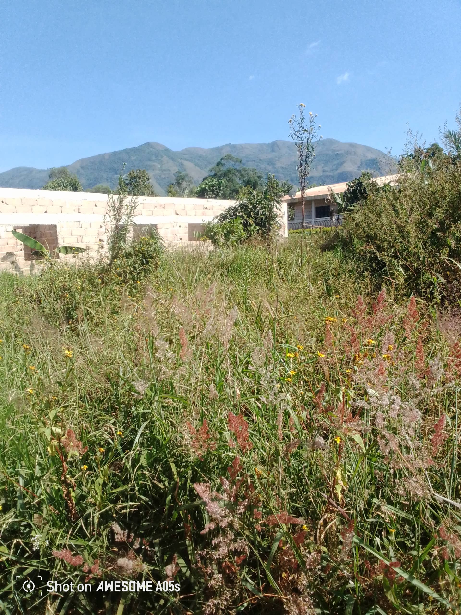 Affordable plots at up station bamenda 