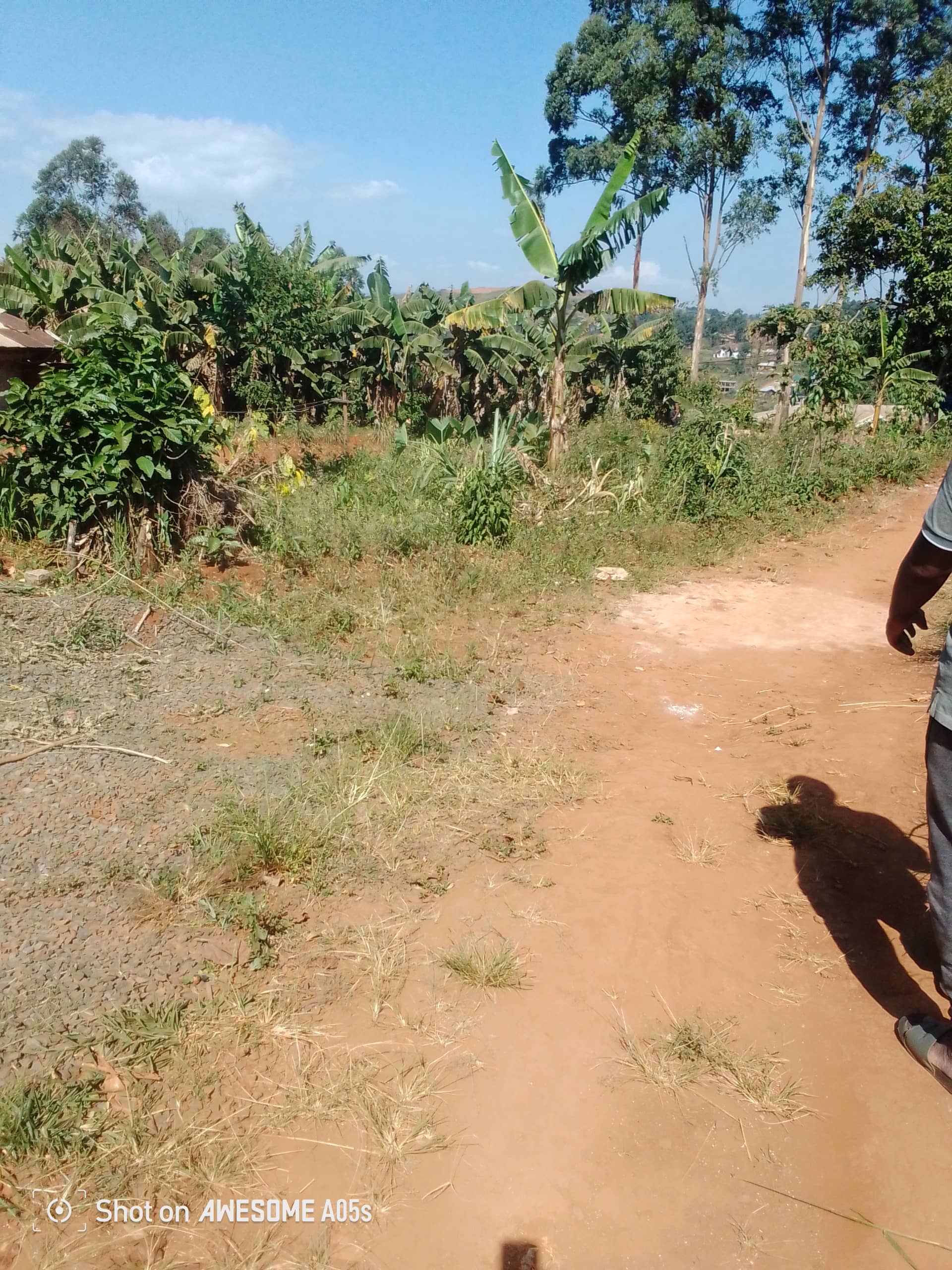 Affordable plots at up station bamenda  — photo 3