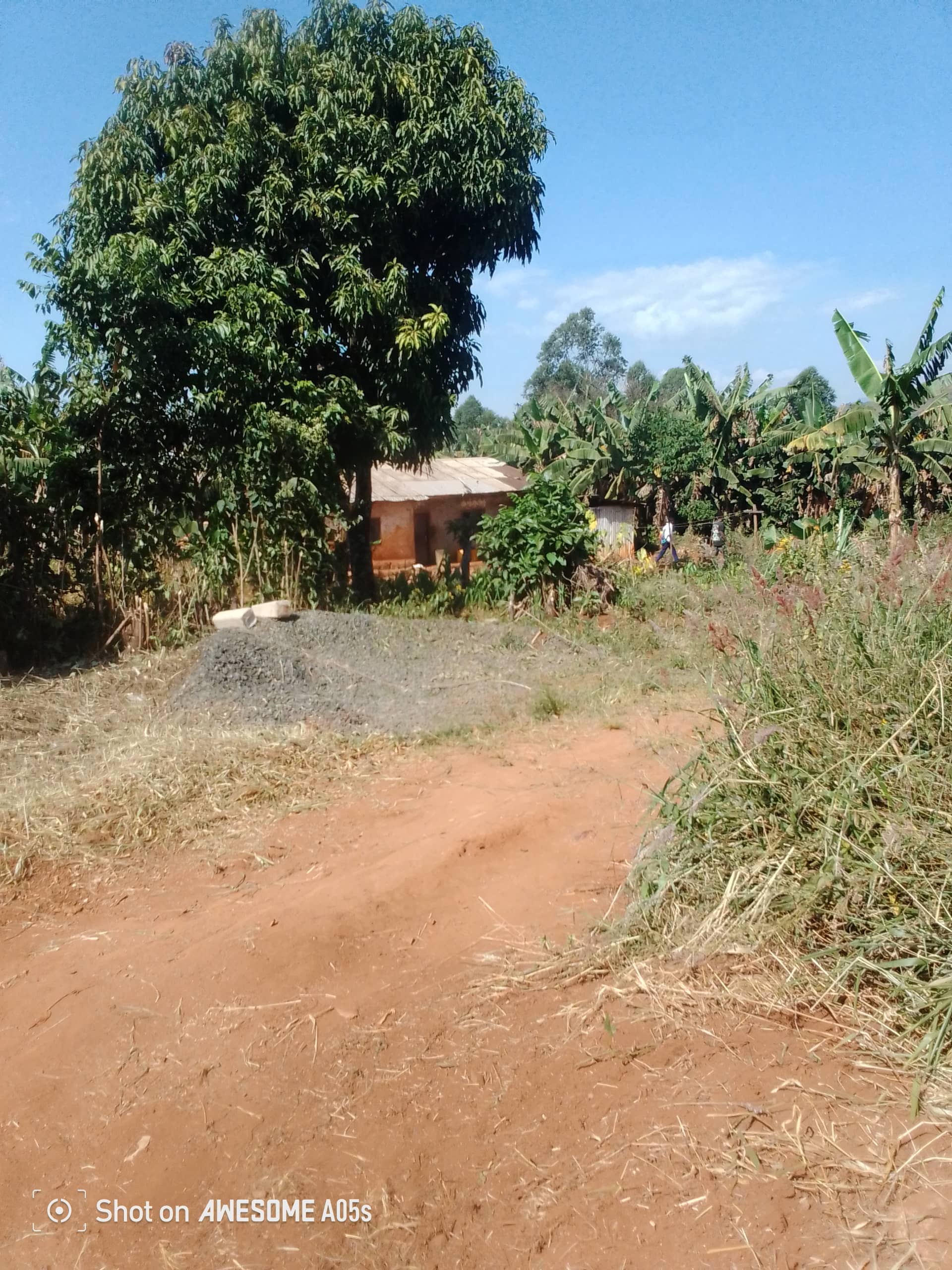 Affordable plots at up station bamenda  — photo 6