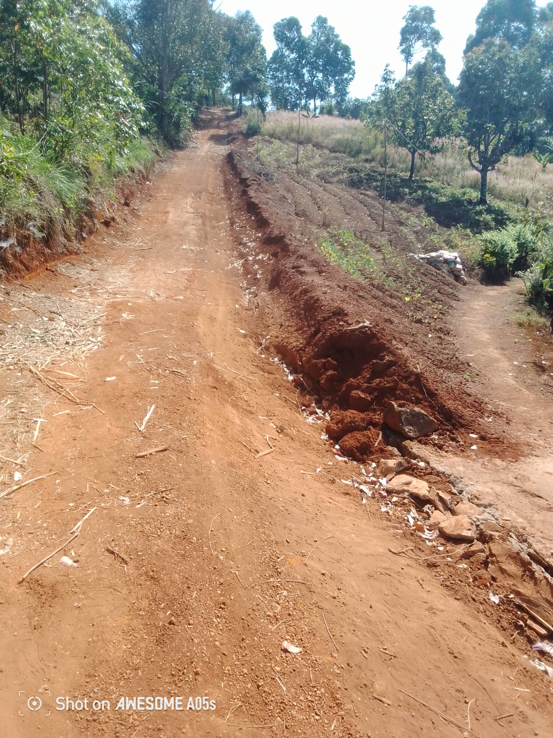 Affordable plots at up station bamenda 