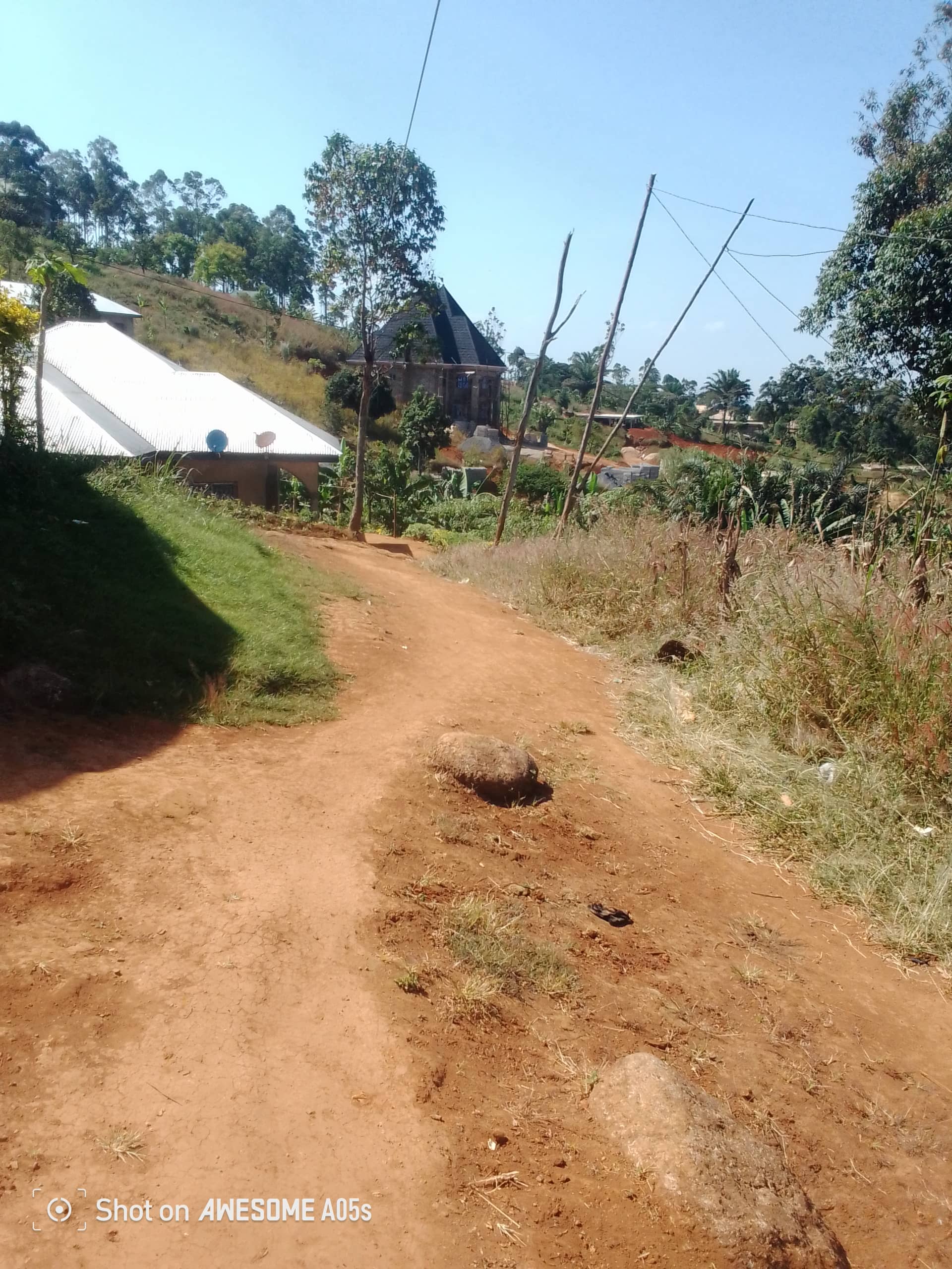 Affordable plots at up station bamenda  — photo 7