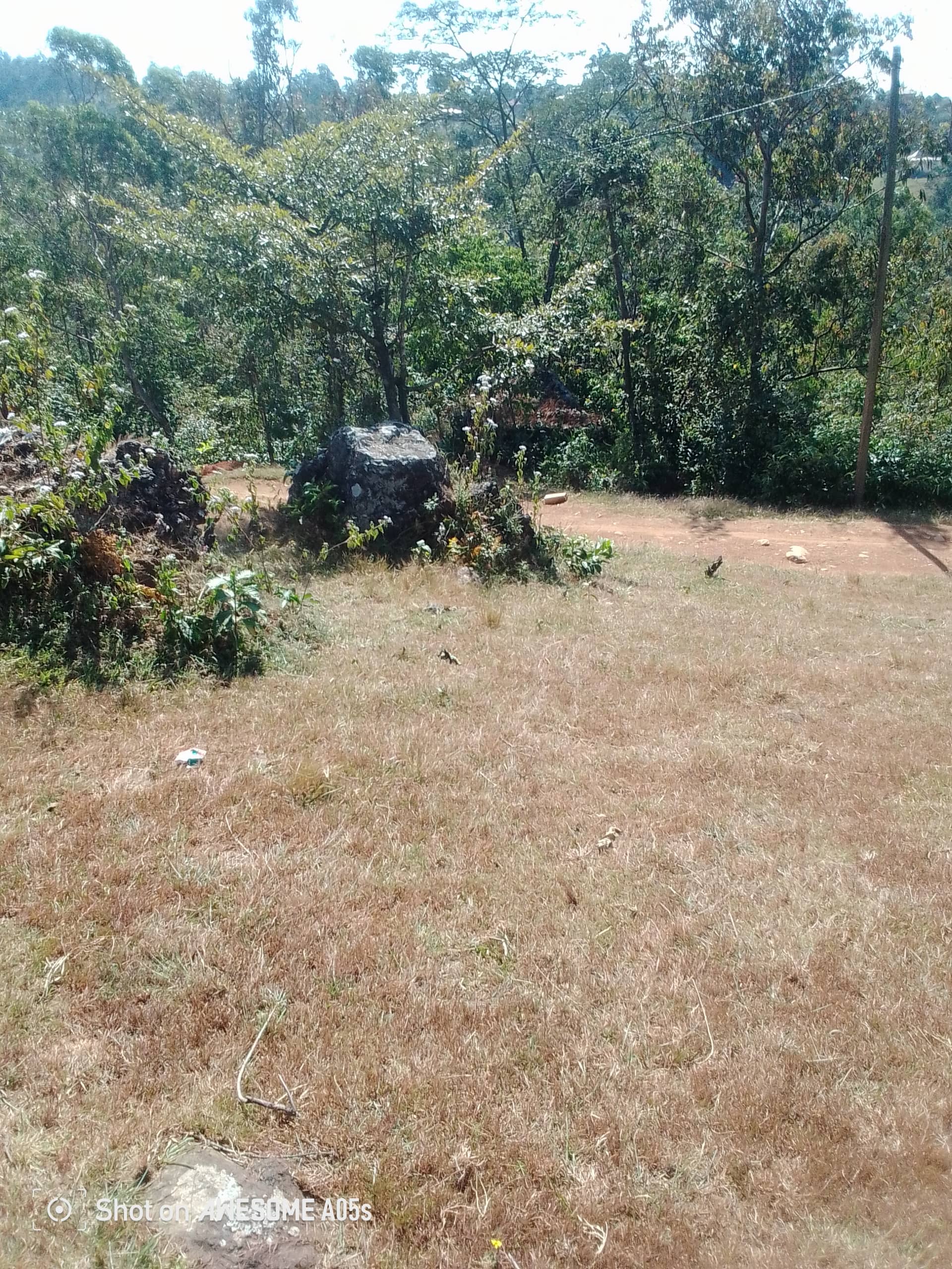 Affordable land around the low cost building new road 