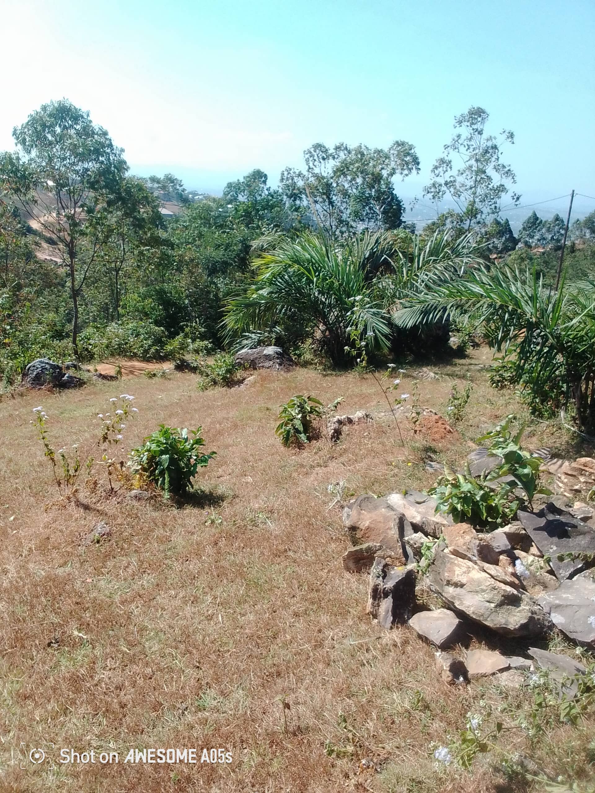 Affordable land around the low cost building new road  — photo 2
