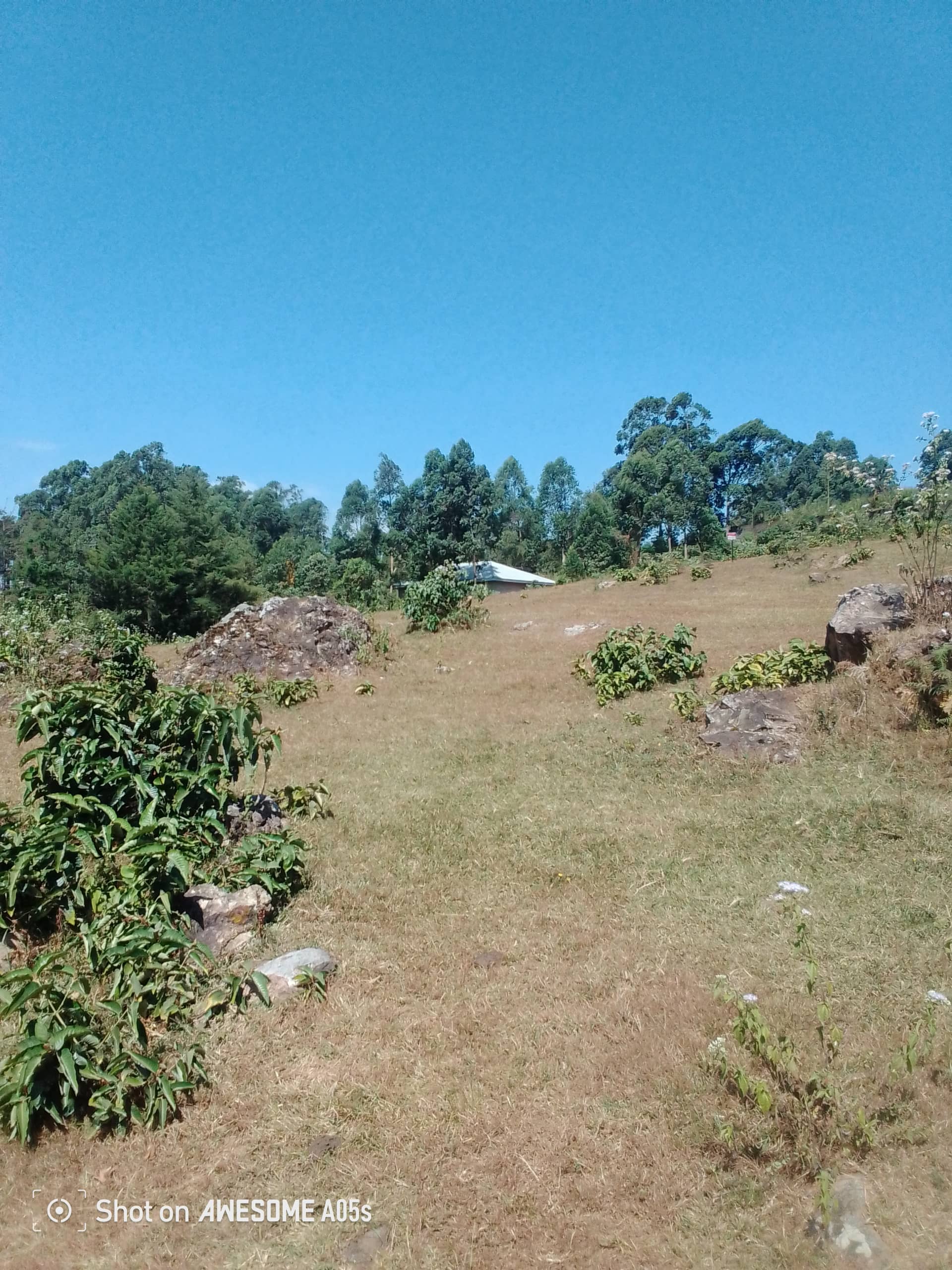 Affordable land around the low cost building new road  — photo 3