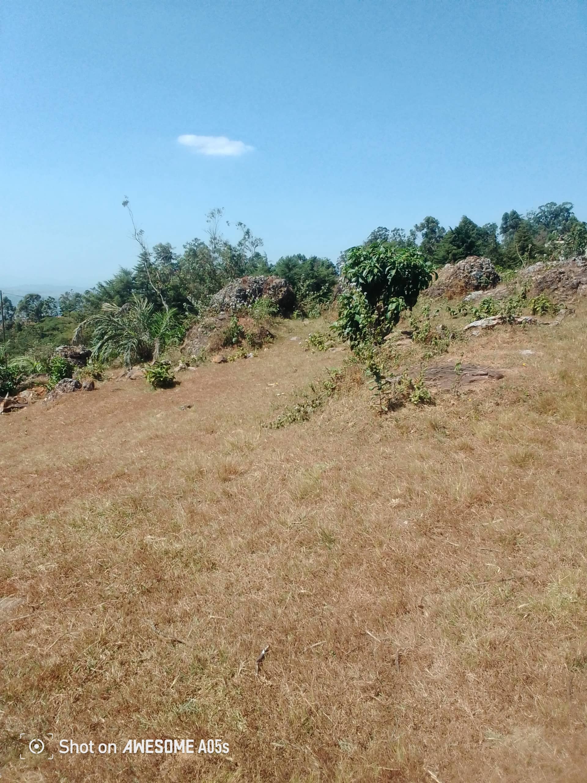 Affordable land around the low cost building new road  — photo 6