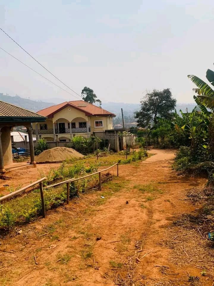 Affordable house for sale around the bamenda 3 council mile4  — photo 6