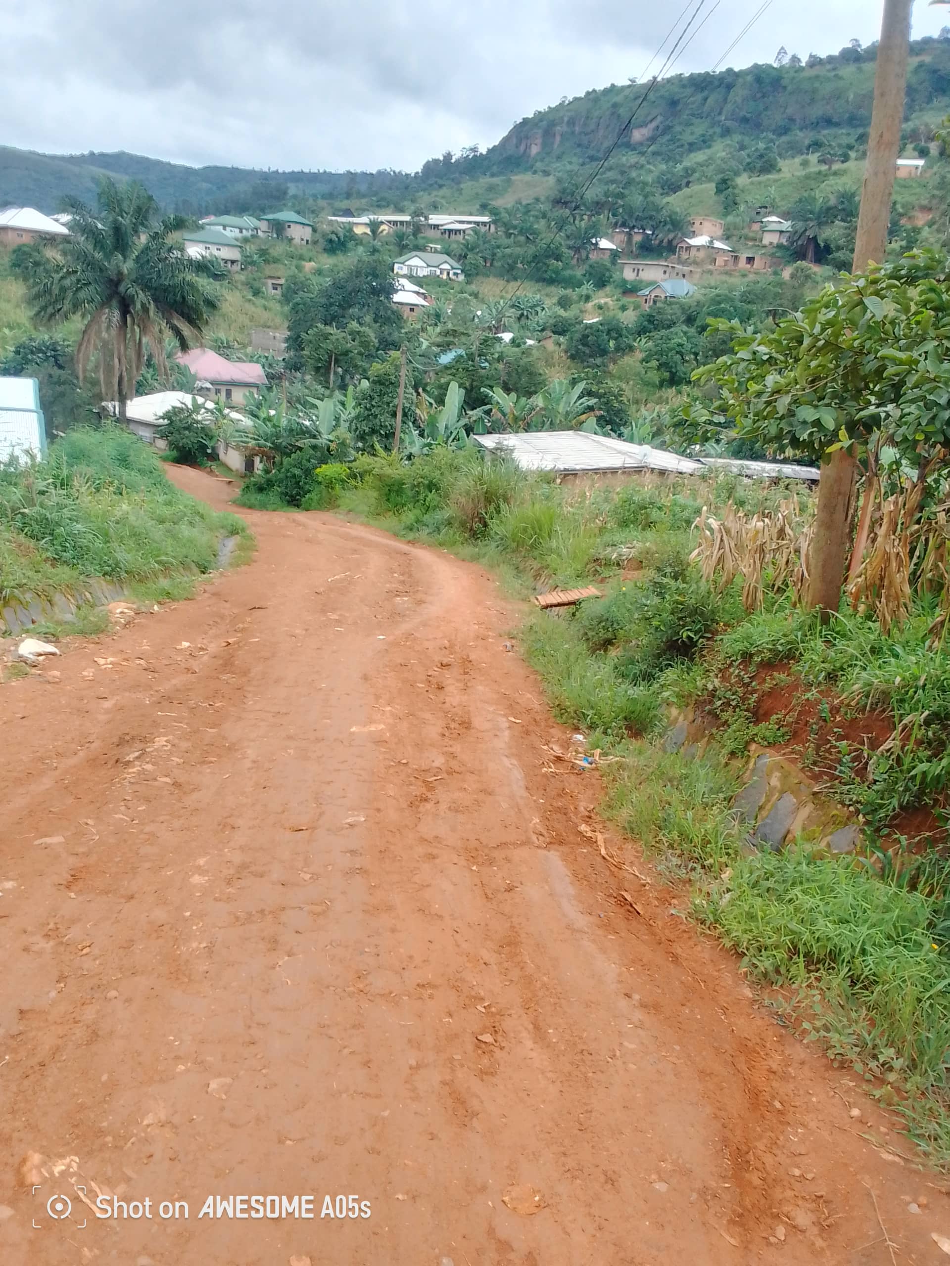 Cheap land at mile 4  — photo 2