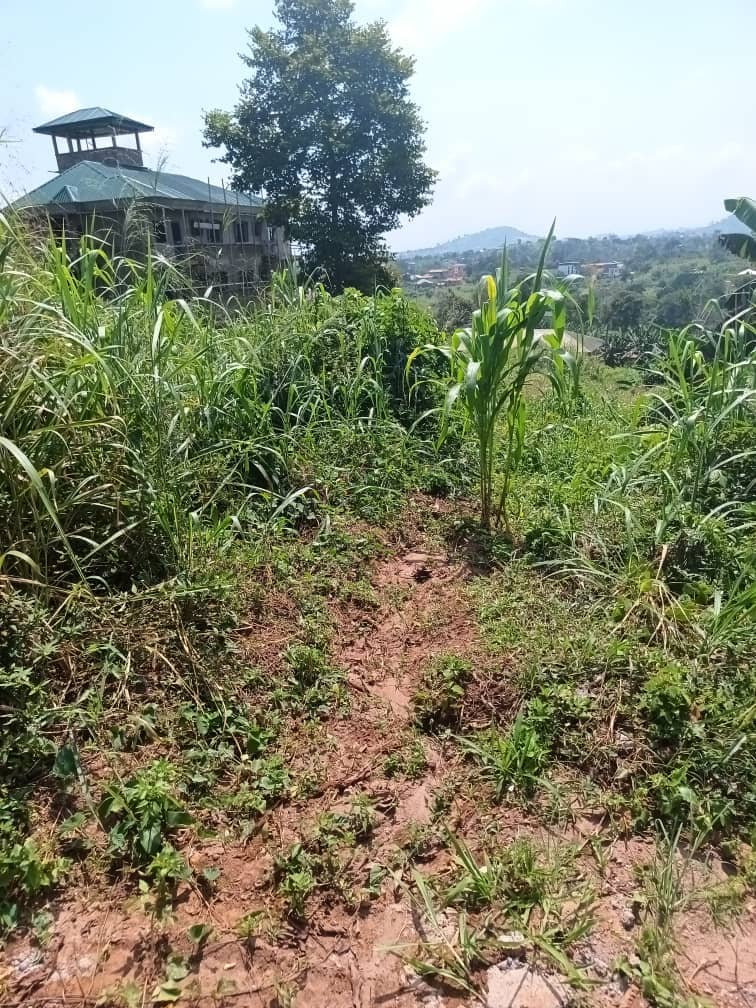 Magnificent piece of land 500m2 