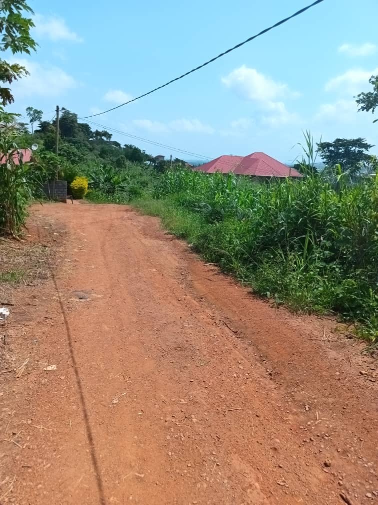Magnificent piece of land 500m2  — photo 7