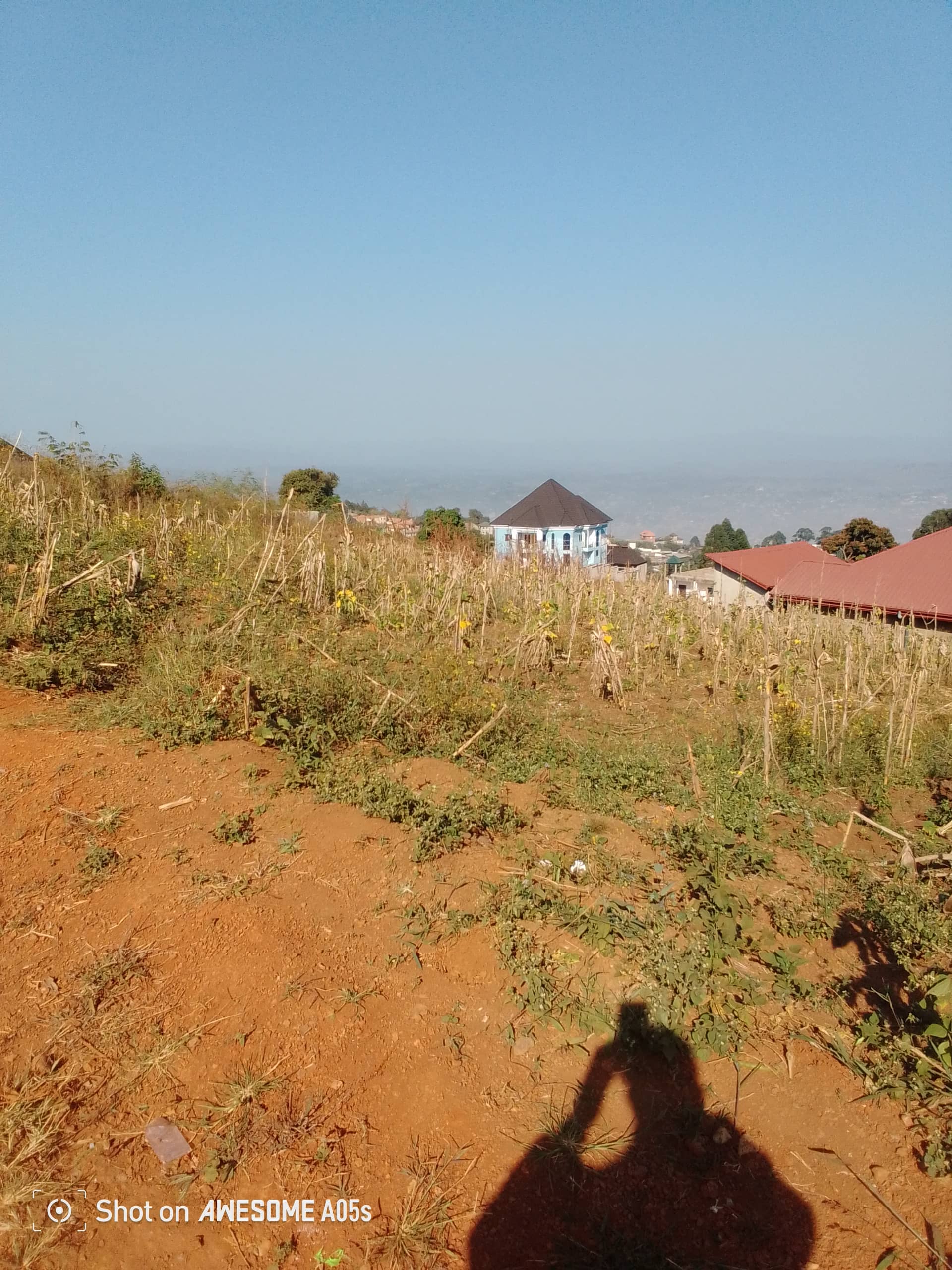 Plot for sale at up station bamenda 