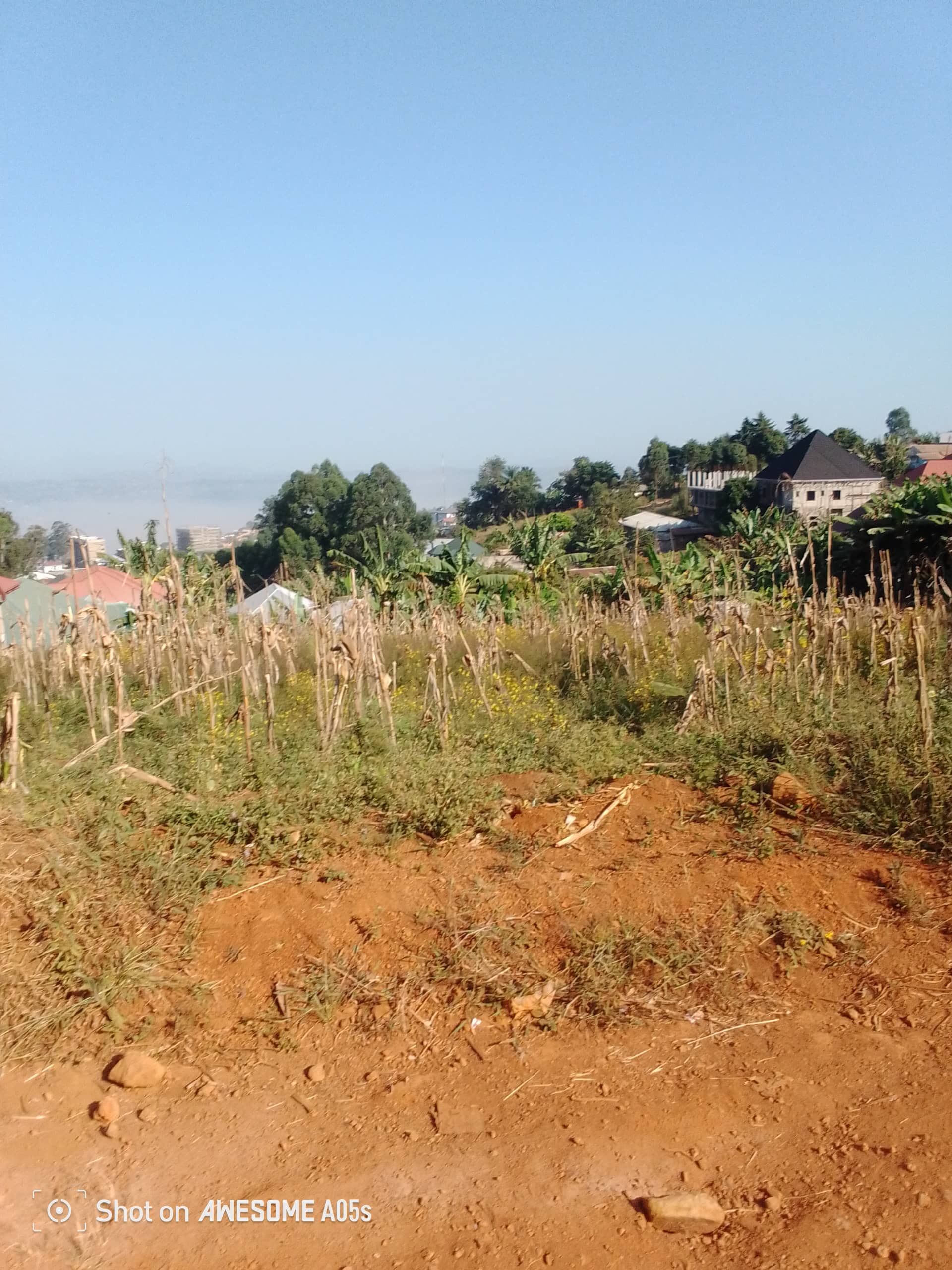 Plot for sale at up station bamenda  — photo 2