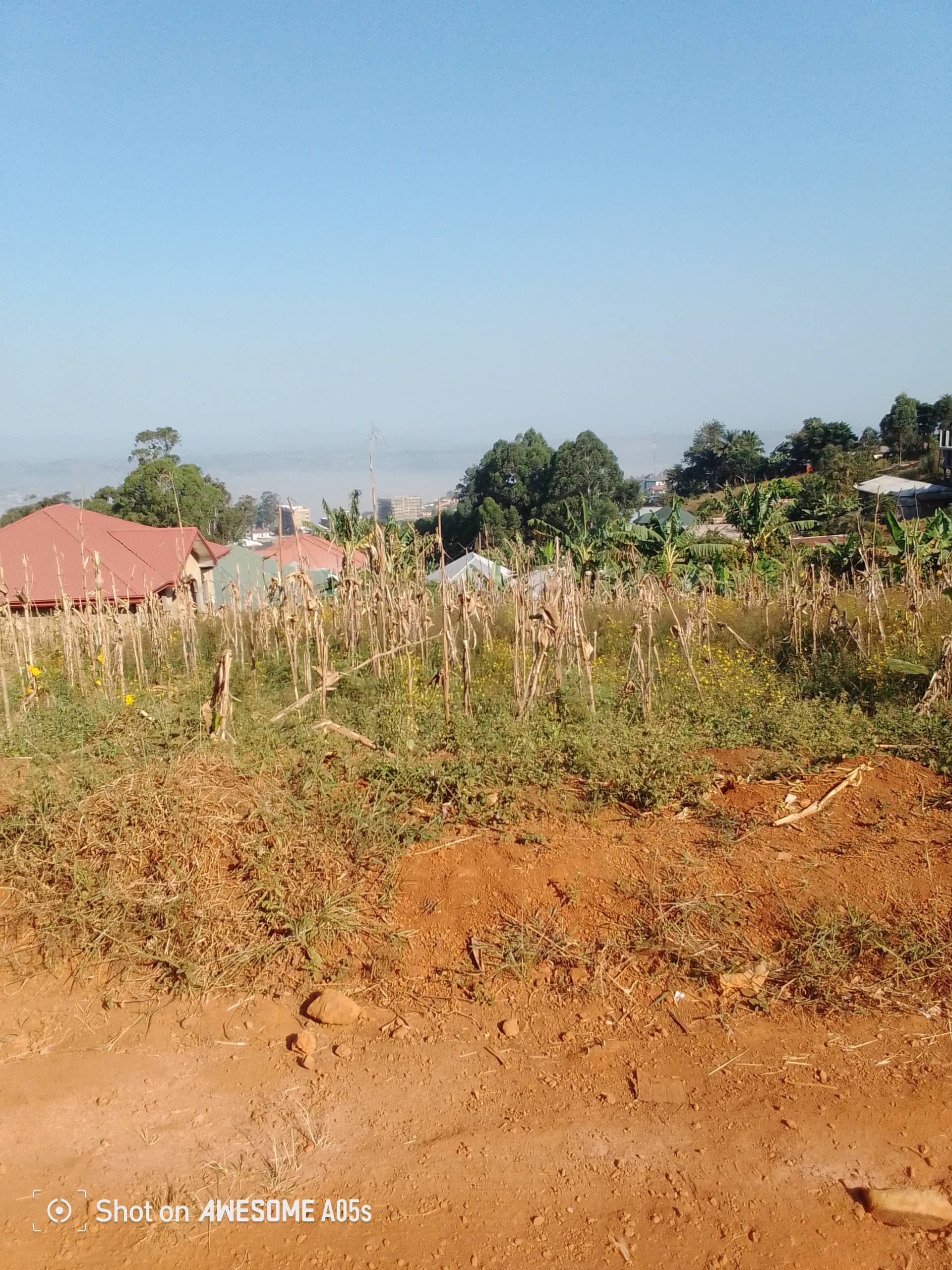 Plot for sale at up station bamenda  — photo 3