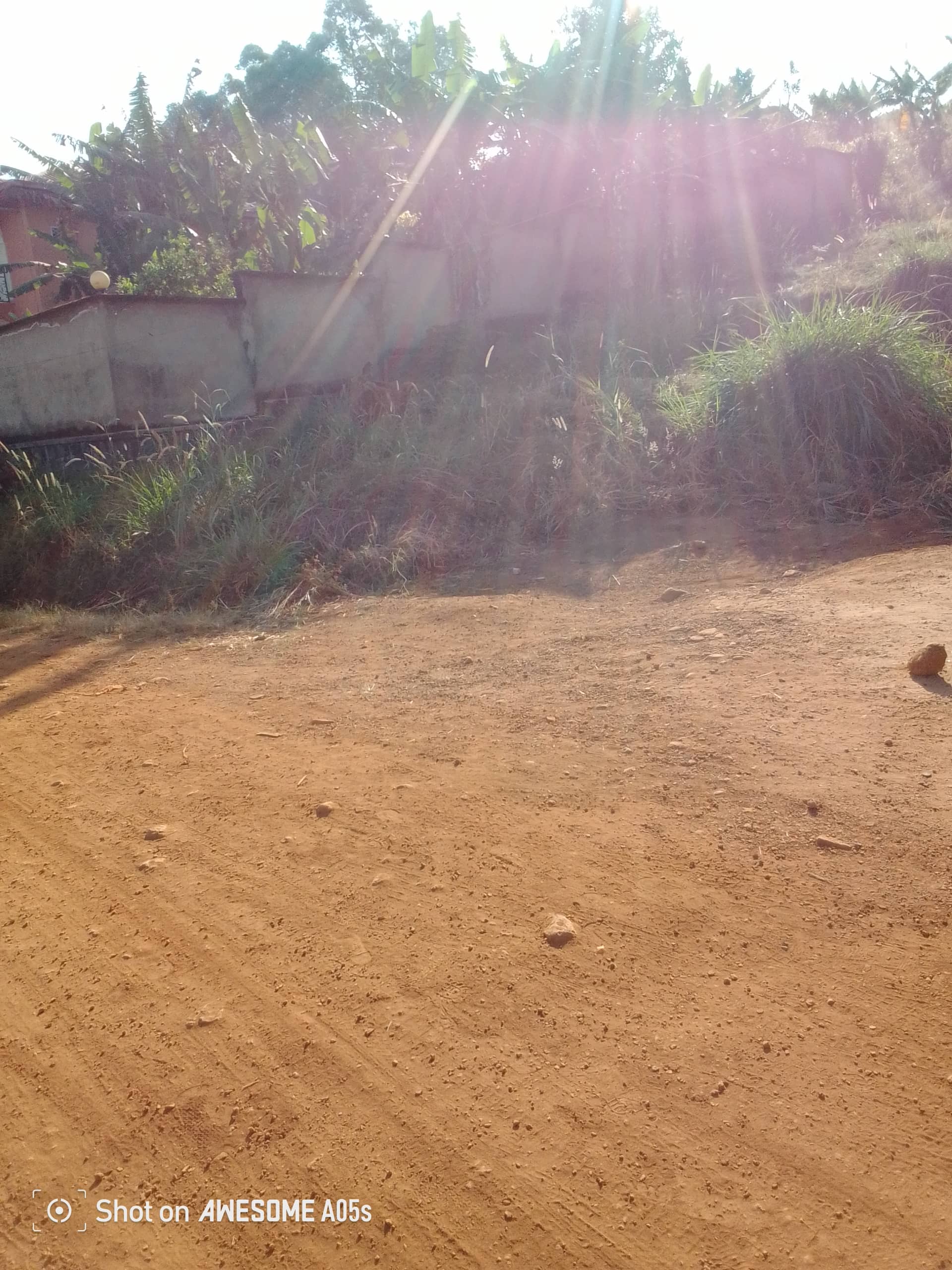 Plot for sale at up station bamenda  — photo 5