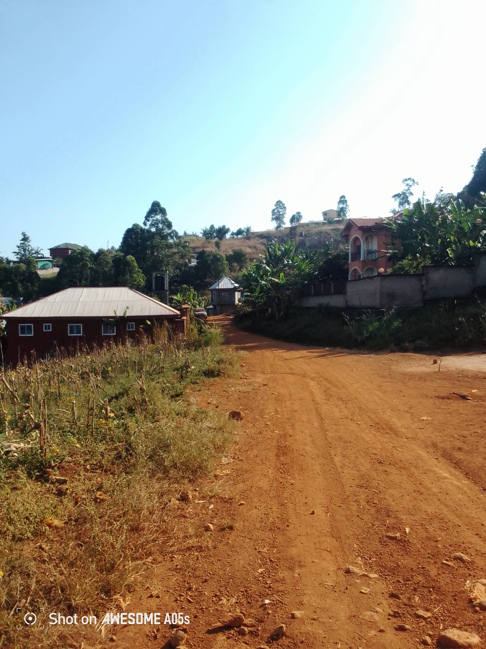 Plot for sale at up station bamenda  — photo 7